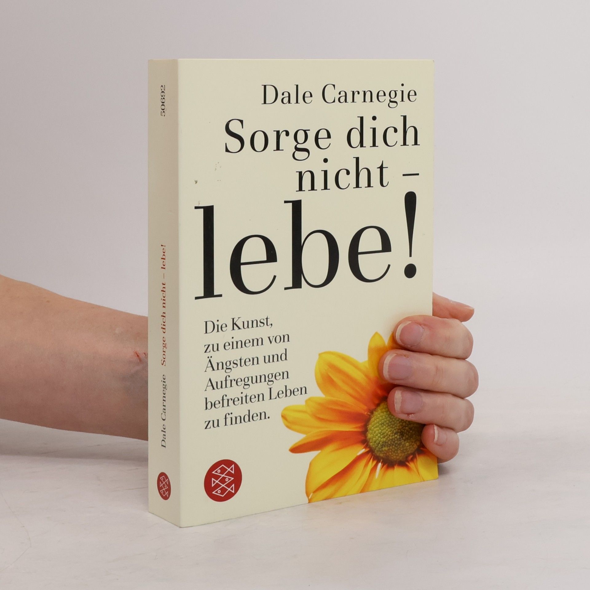 Dale Carnegie Sorge dich nicht - lebe!