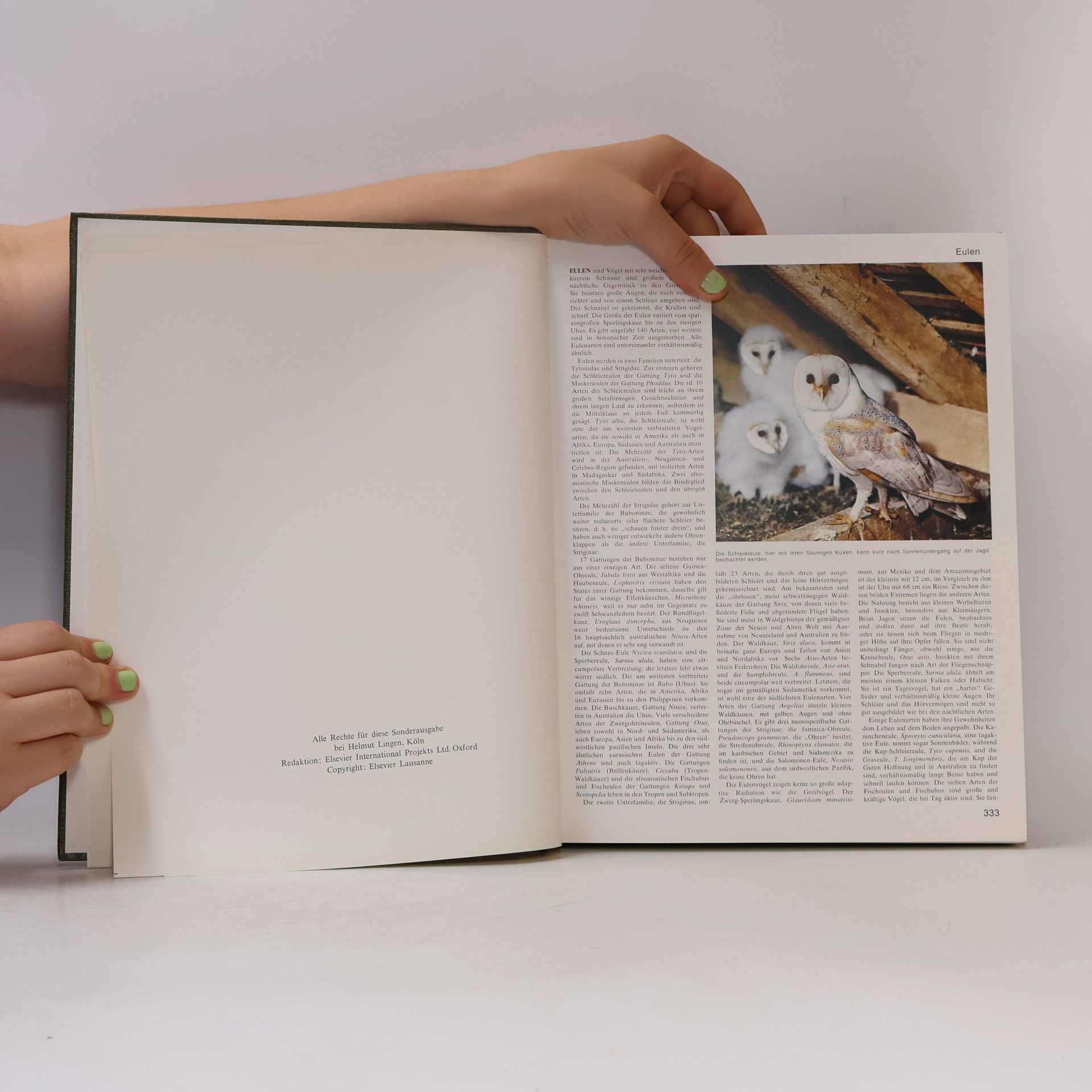 Autorenkollektiv Das grosses Lexikon der Tierwelt 2