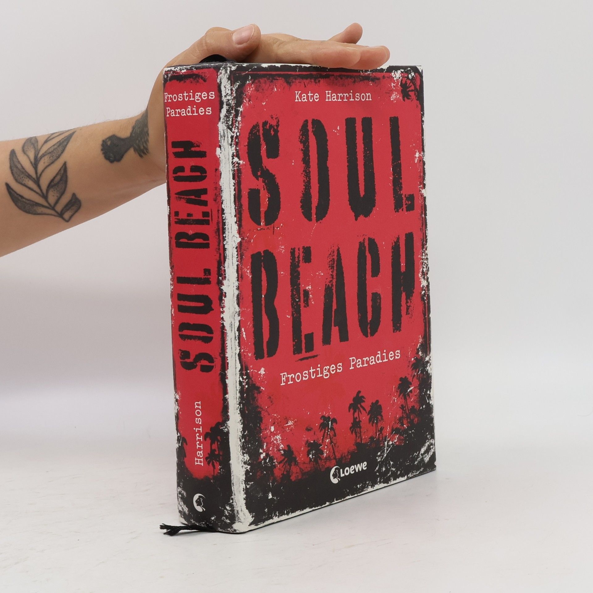 Kate Harrison Soul Beach. Frostiges Paradies