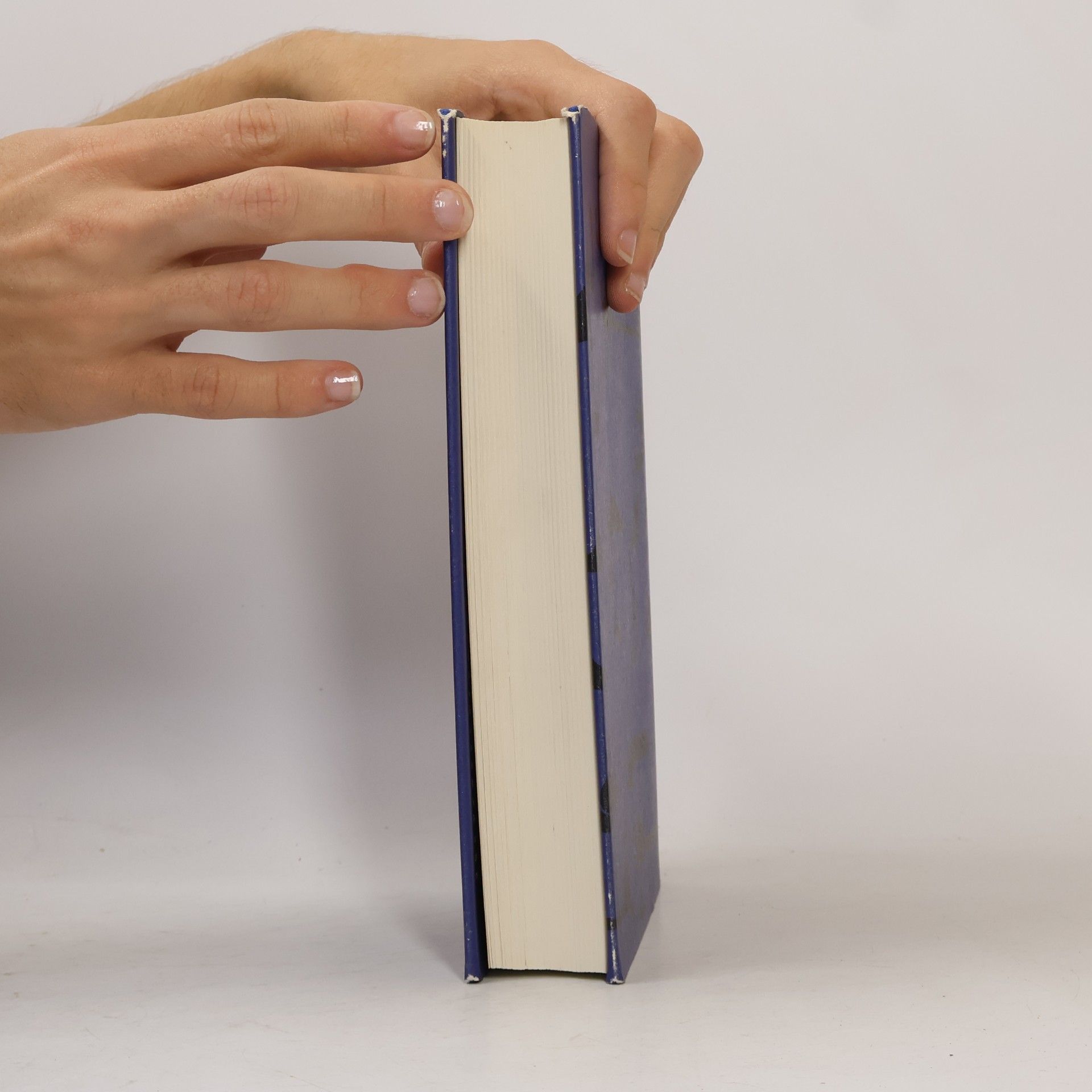Tilman Nagel Der Koran. Einführung, Texte, Erläuterungen