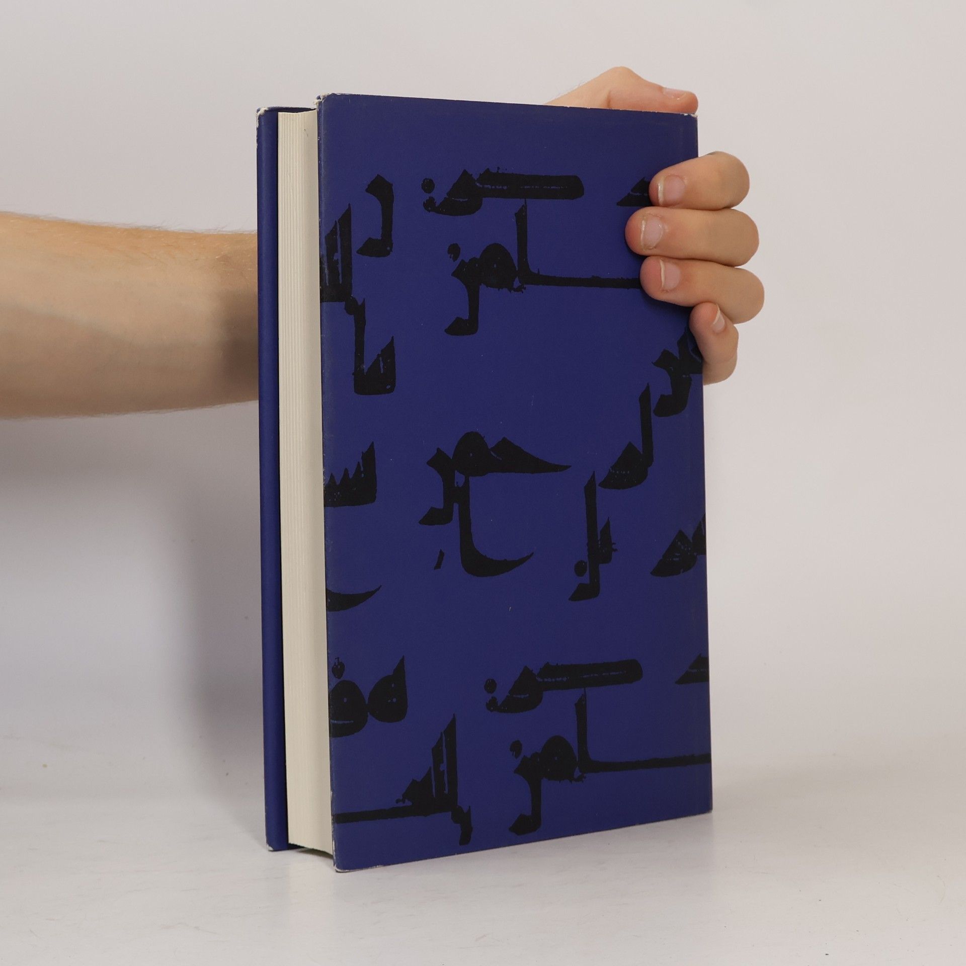 Tilman Nagel Der Koran. Einführung, Texte, Erläuterungen