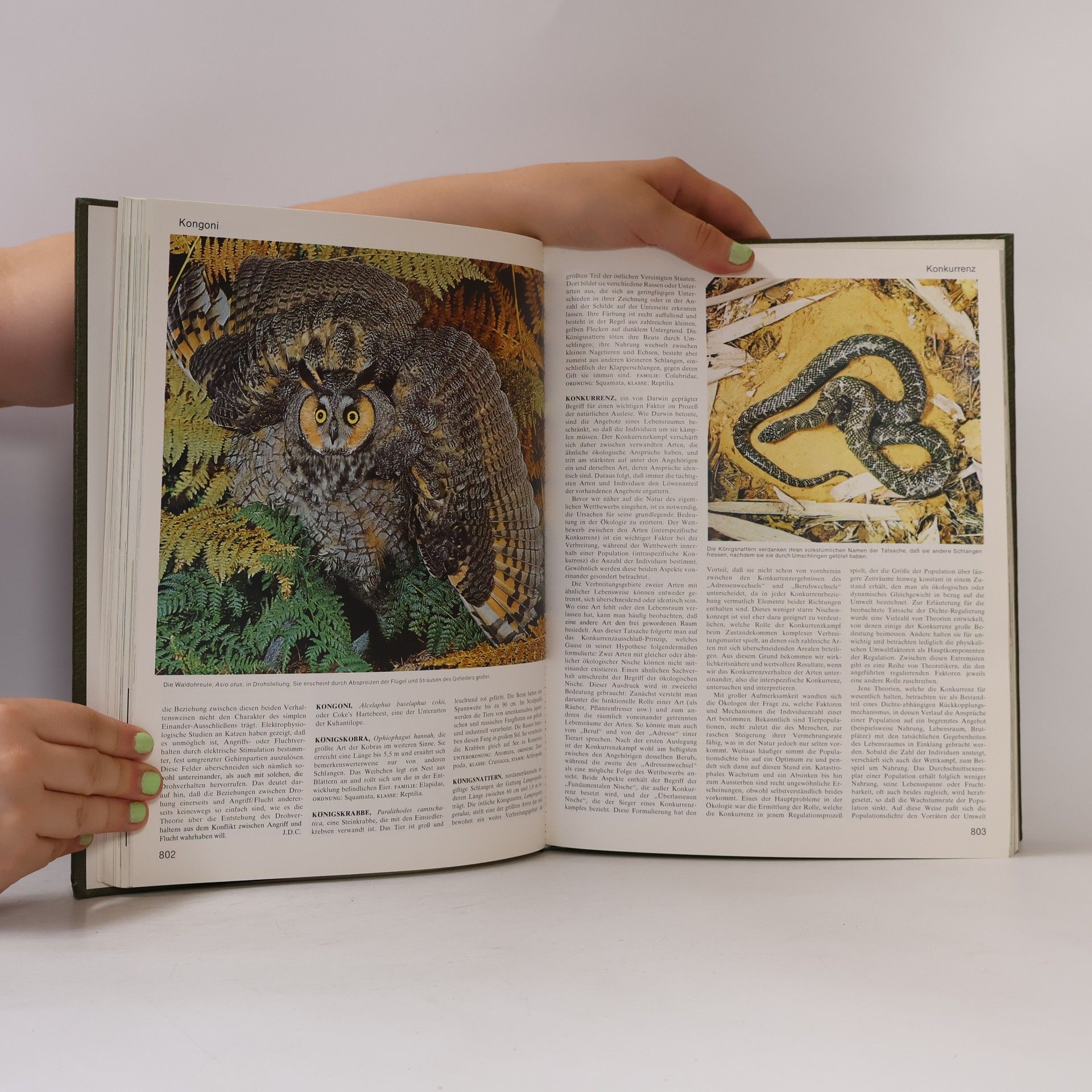 Autorenkollektiv Das grosses Lexikon der Tierwelt 3