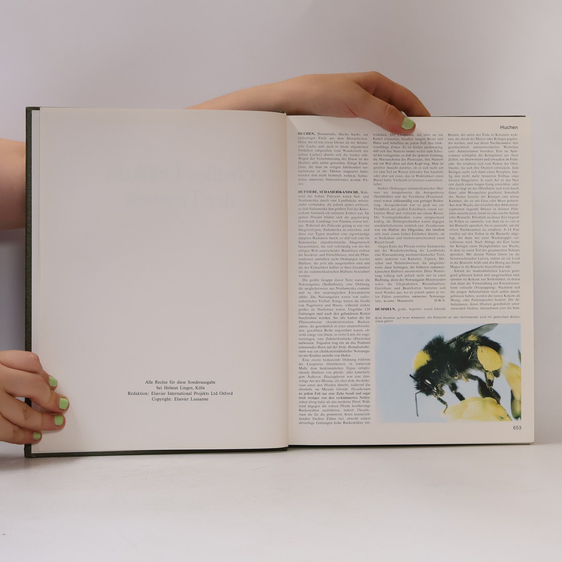 Autorenkollektiv Das grosses Lexikon der Tierwelt 3