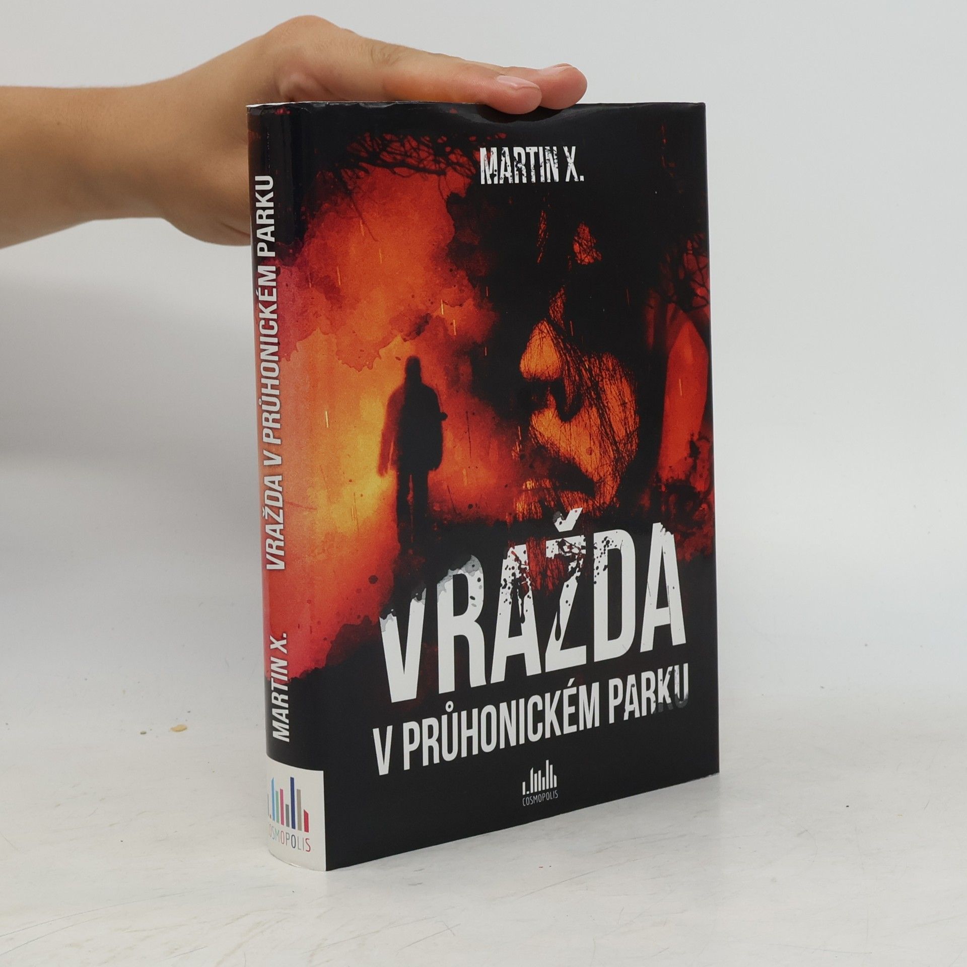 Martin X Vražda v průhonickém parku