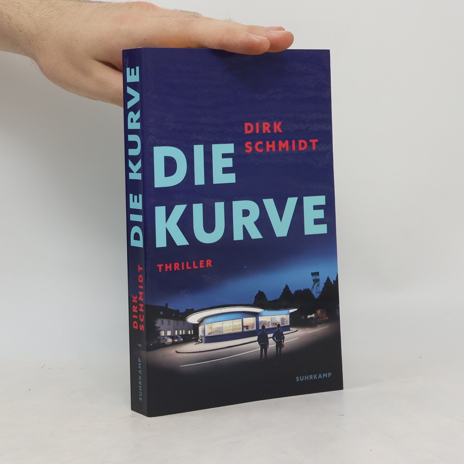 Dirk Schmidt Die Kurve