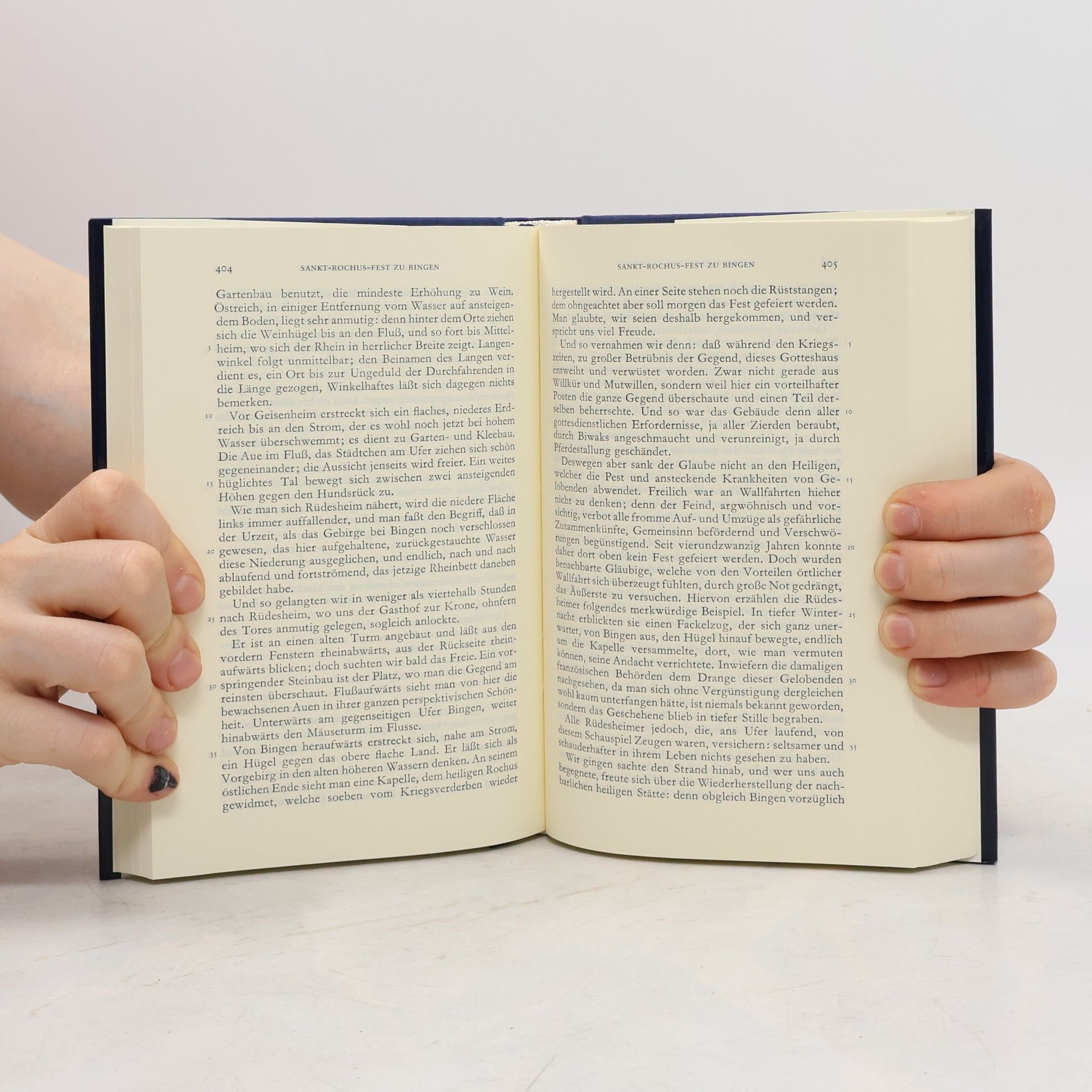 Johann Wolfgang von Goethe Goethes Werke: Hamburger Ausgabe - 10: Autobiographische Schriften II