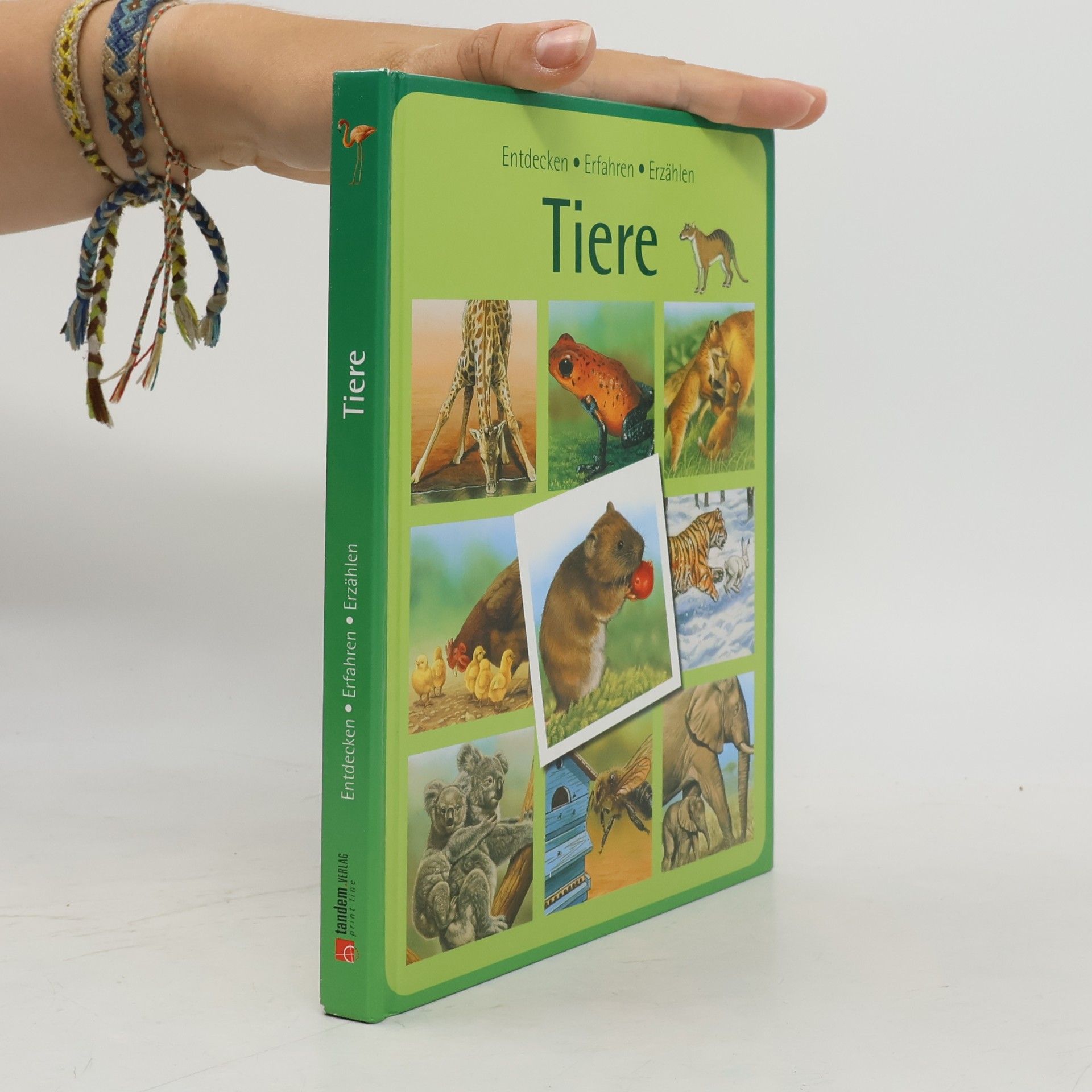 Autorenkollektiv Tiere