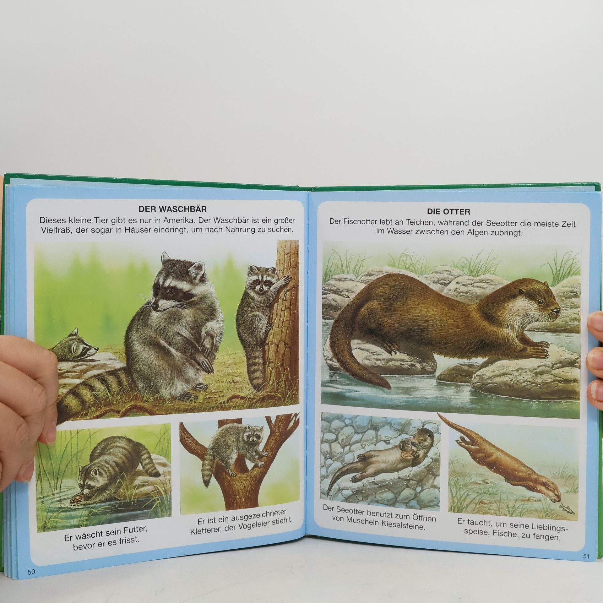 Autorenkollektiv Tiere