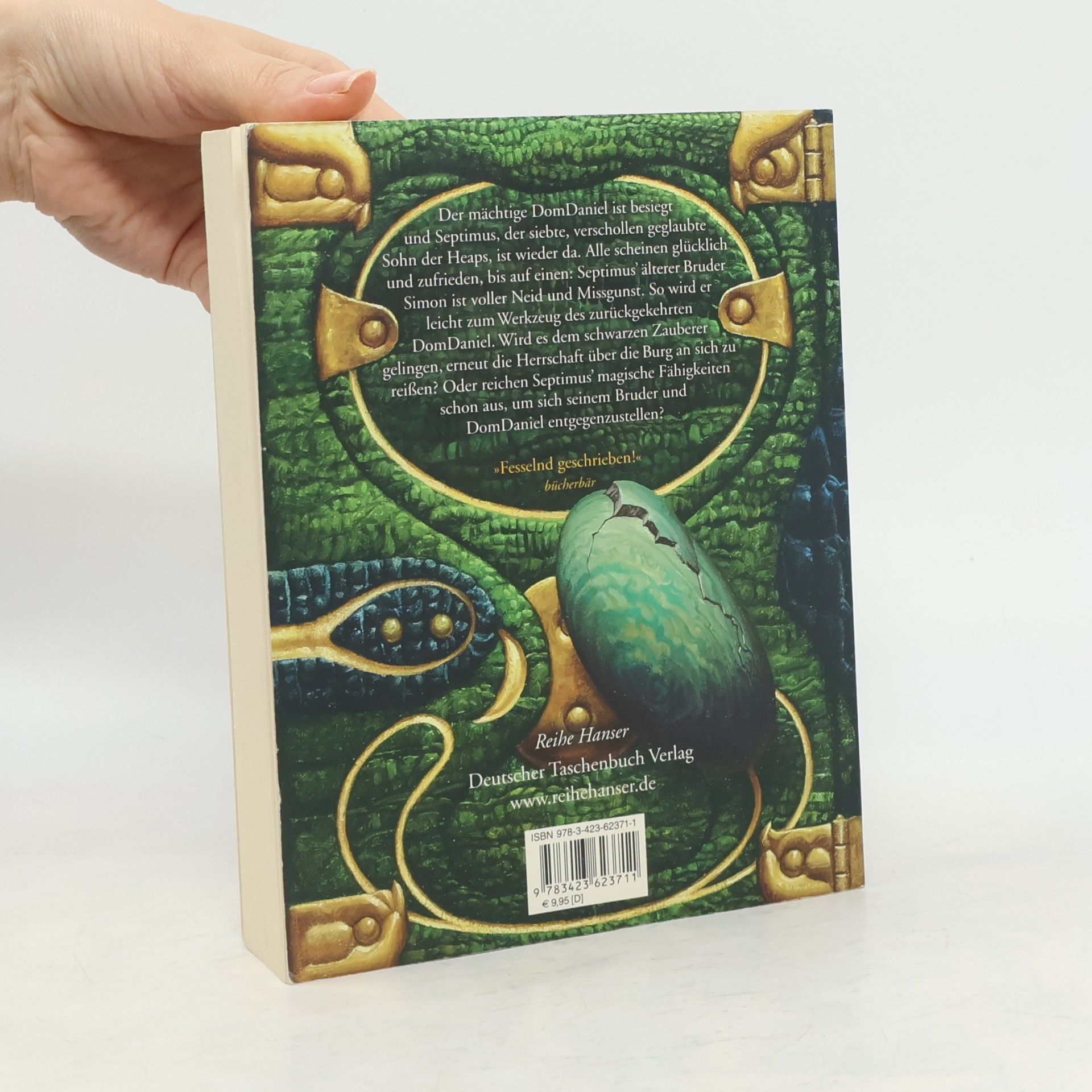 Angie Sage Septimus Heap: Flyte