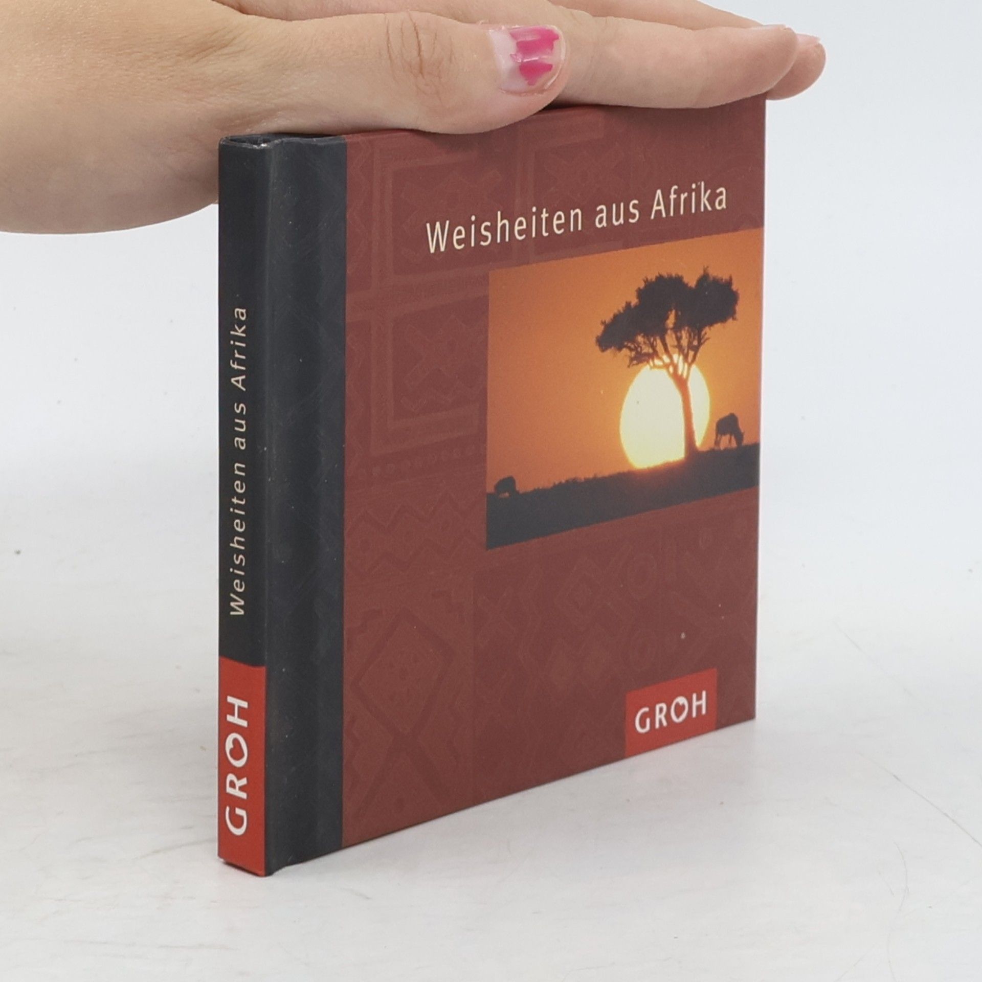 Kolektiv autorů Weisheiten aus Afrika