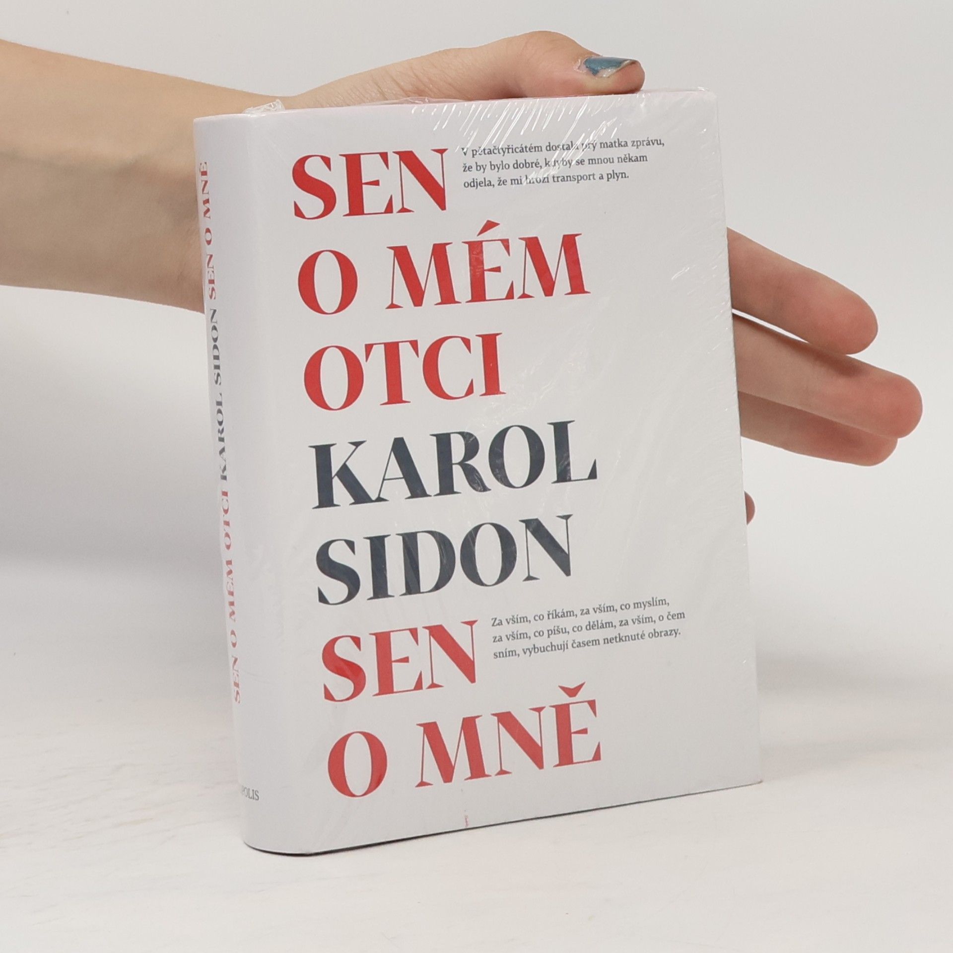 Karol Sidon Sen o mém otci. Sen o mně