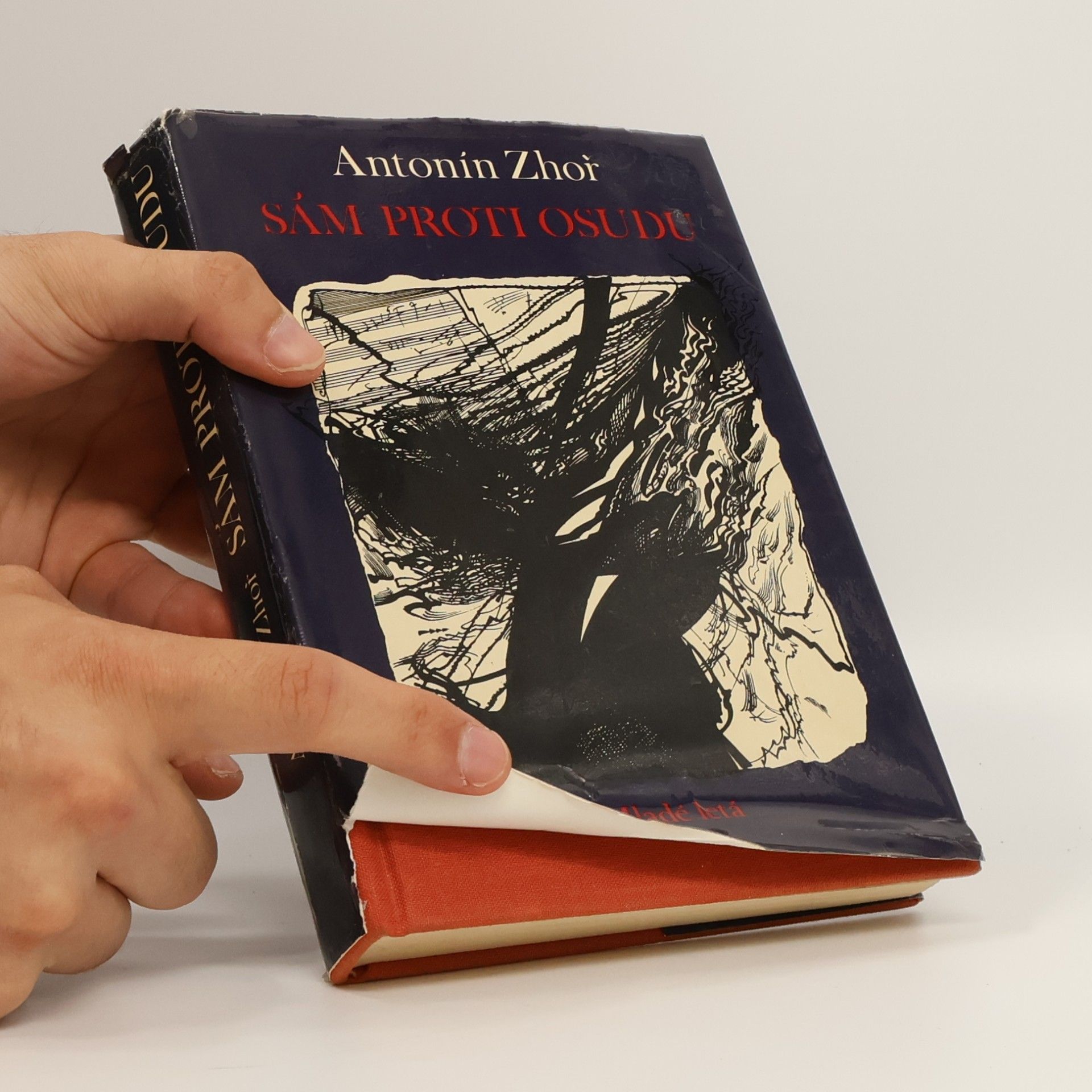 Antonín Zhoř Sám proti osudu