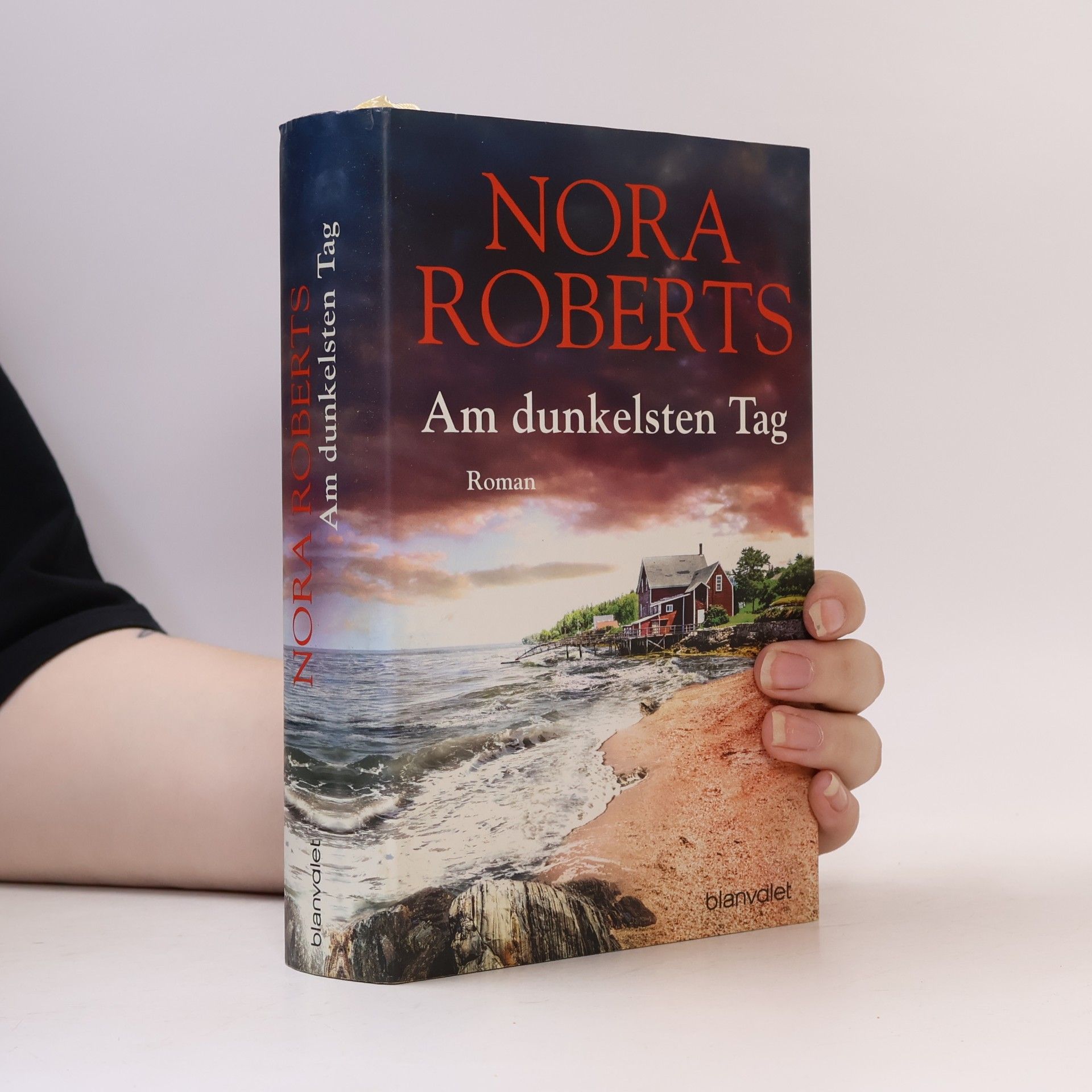Nora Roberts Am dunkelsten Tag