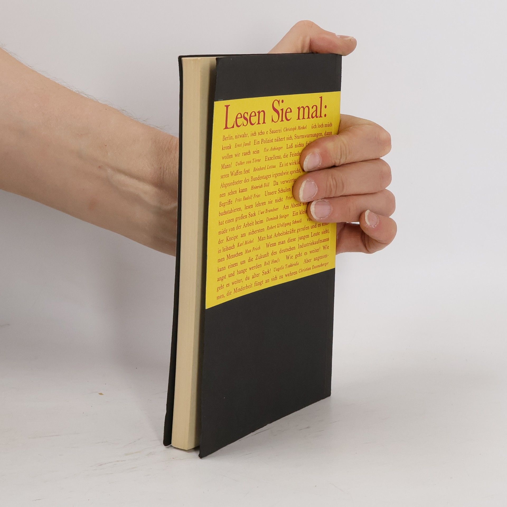 Kolektiv autorů Tintenfisch 2. Jahrbuch für Literatur