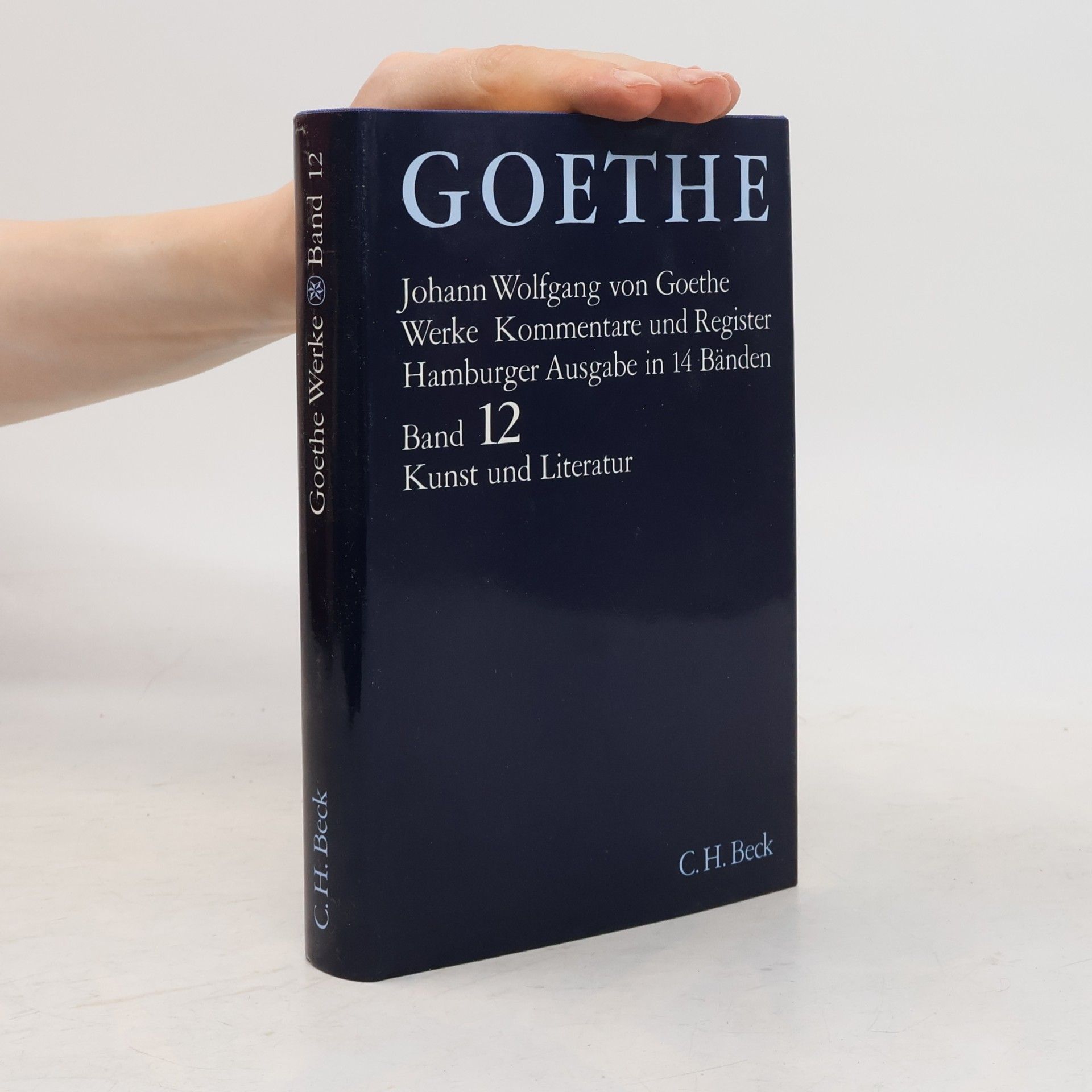 Sabina Jankovičová Schriften zur Kunst. Schriften zur Literatur. Maximen und Reflexionen