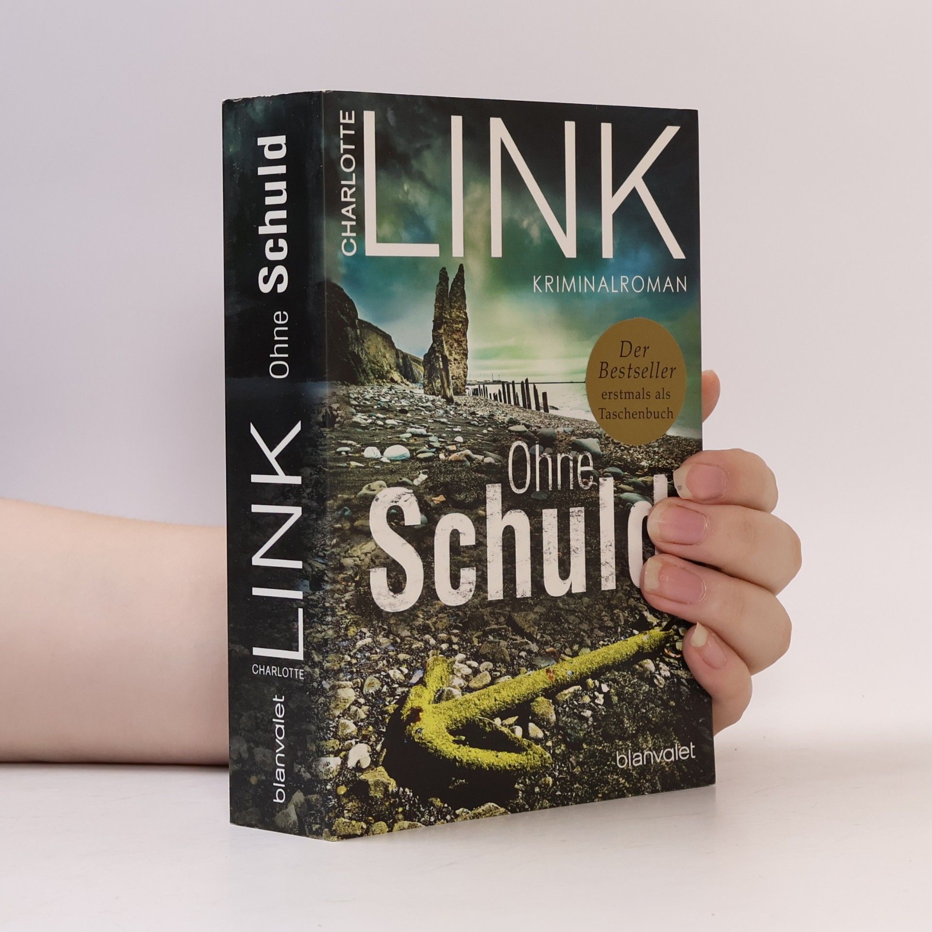 Charlotte Link Ohne Schuld