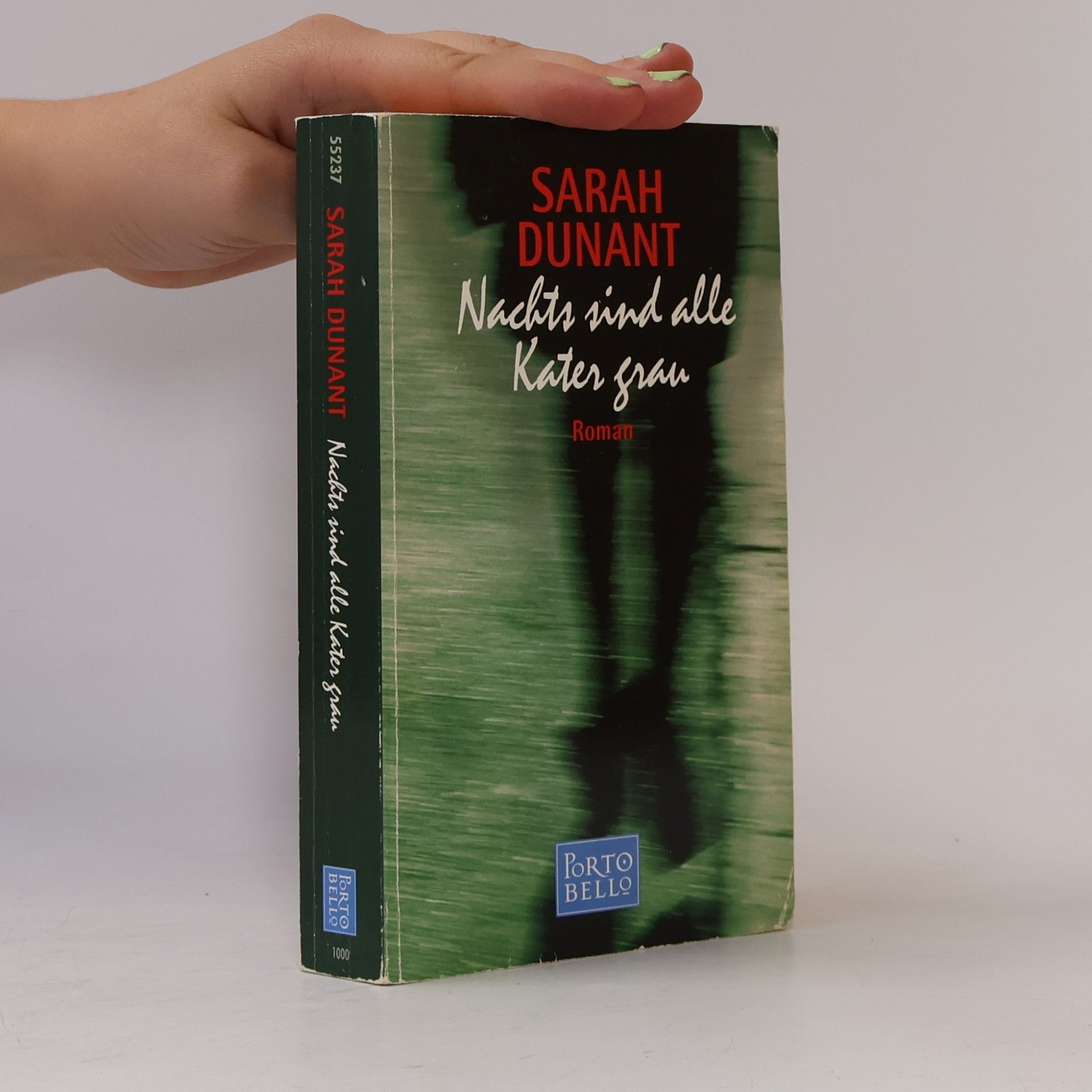Sarah Dunant Nachts sind alle Kater grau