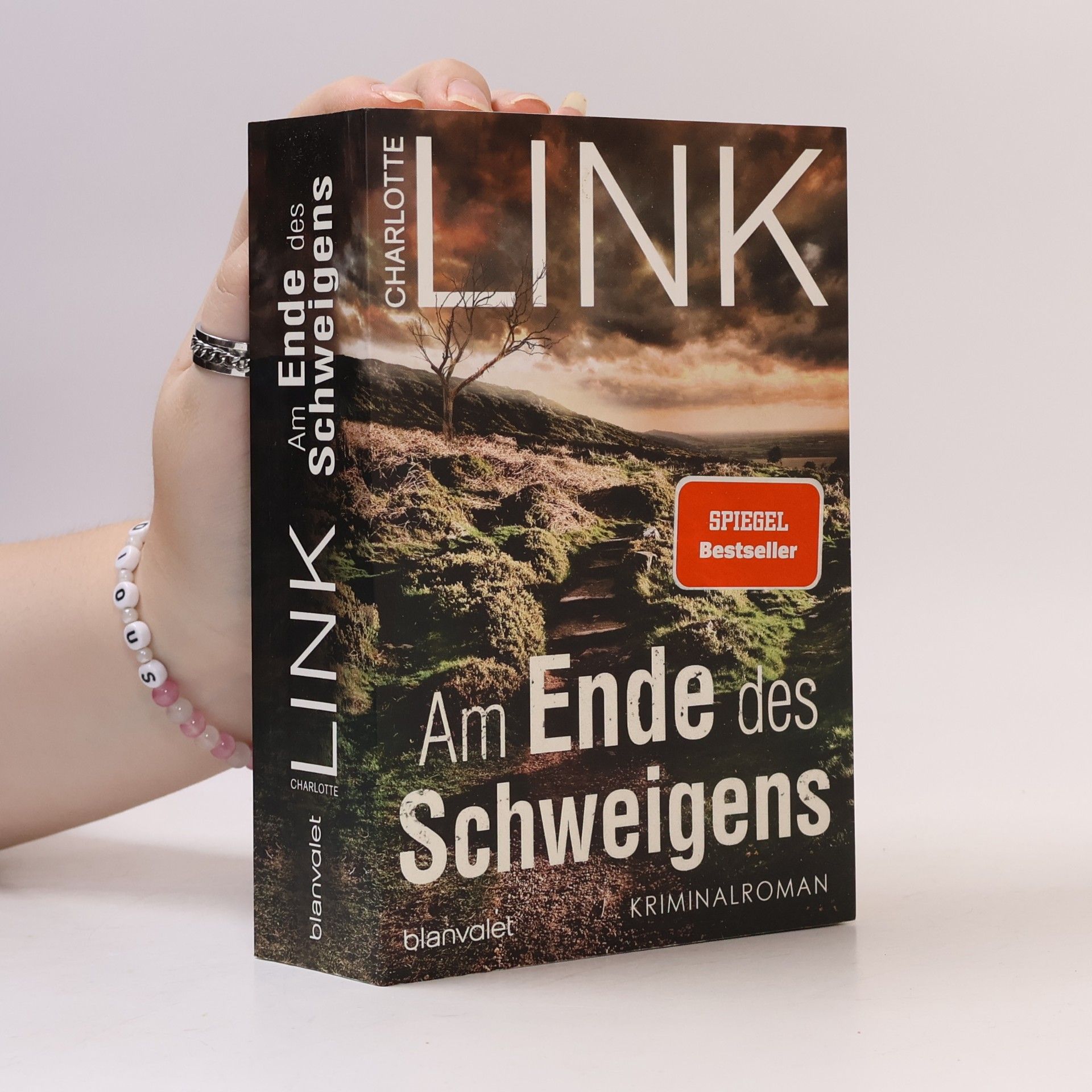 Charlotte Link Am Ende des Schweigens