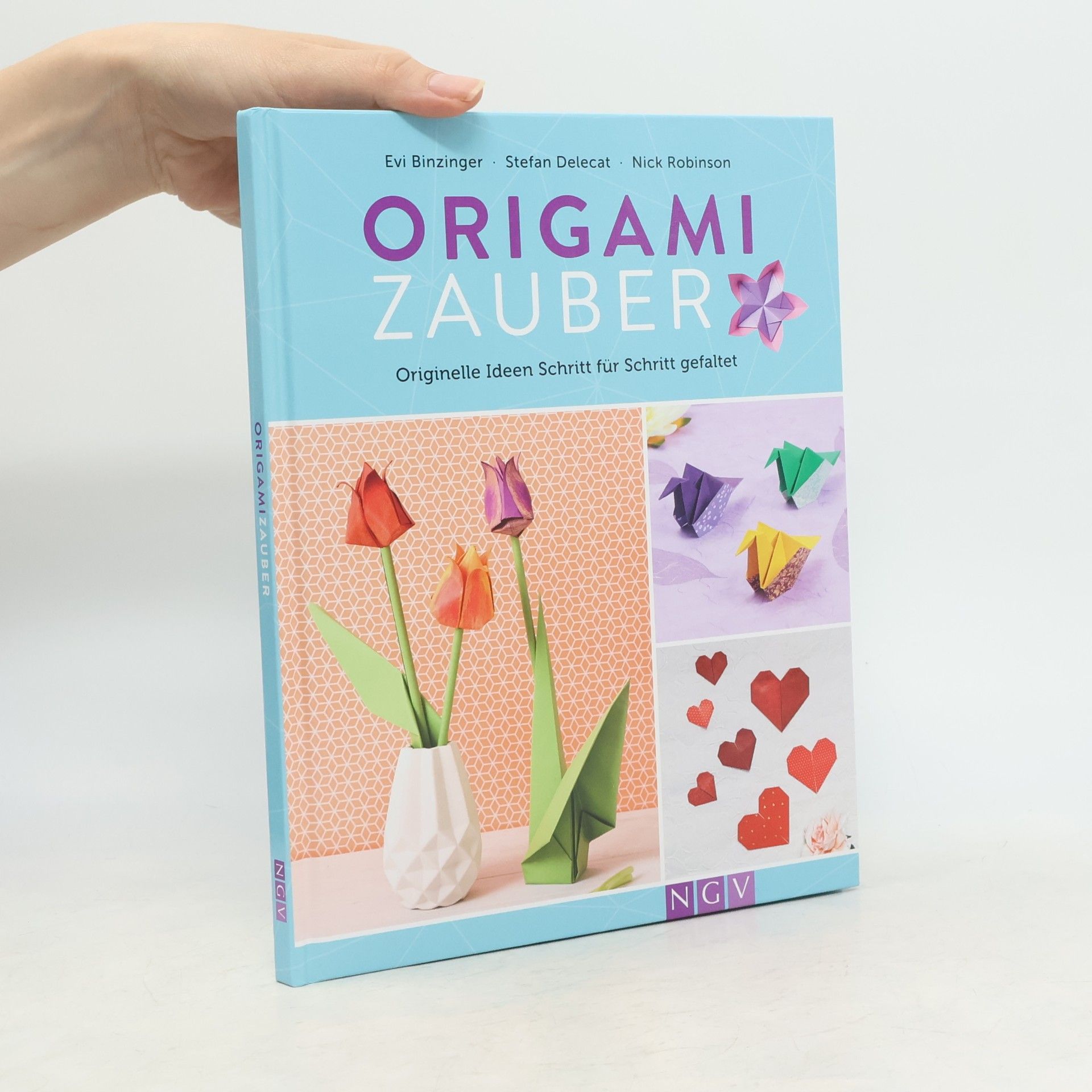 Nick Robinson Origami Zauber