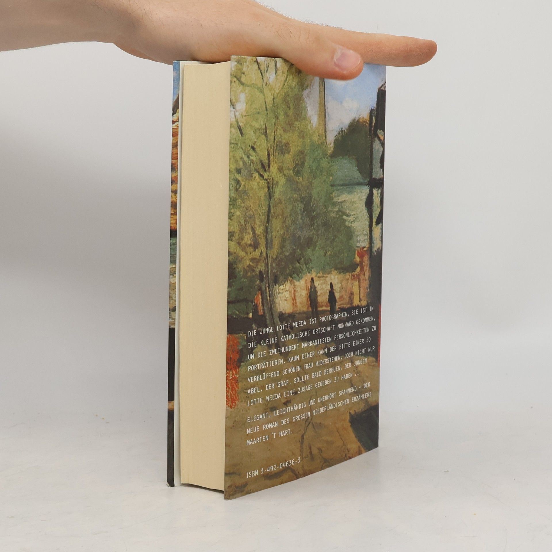 Maarten t. Hart In unnütz toller Wut
