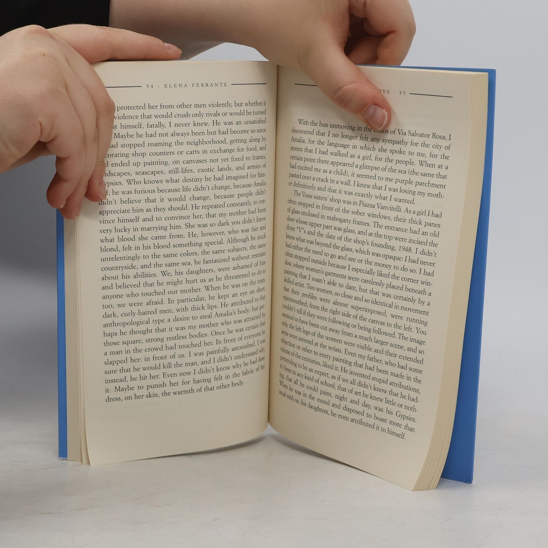 Elena Ferrante Troubling Love