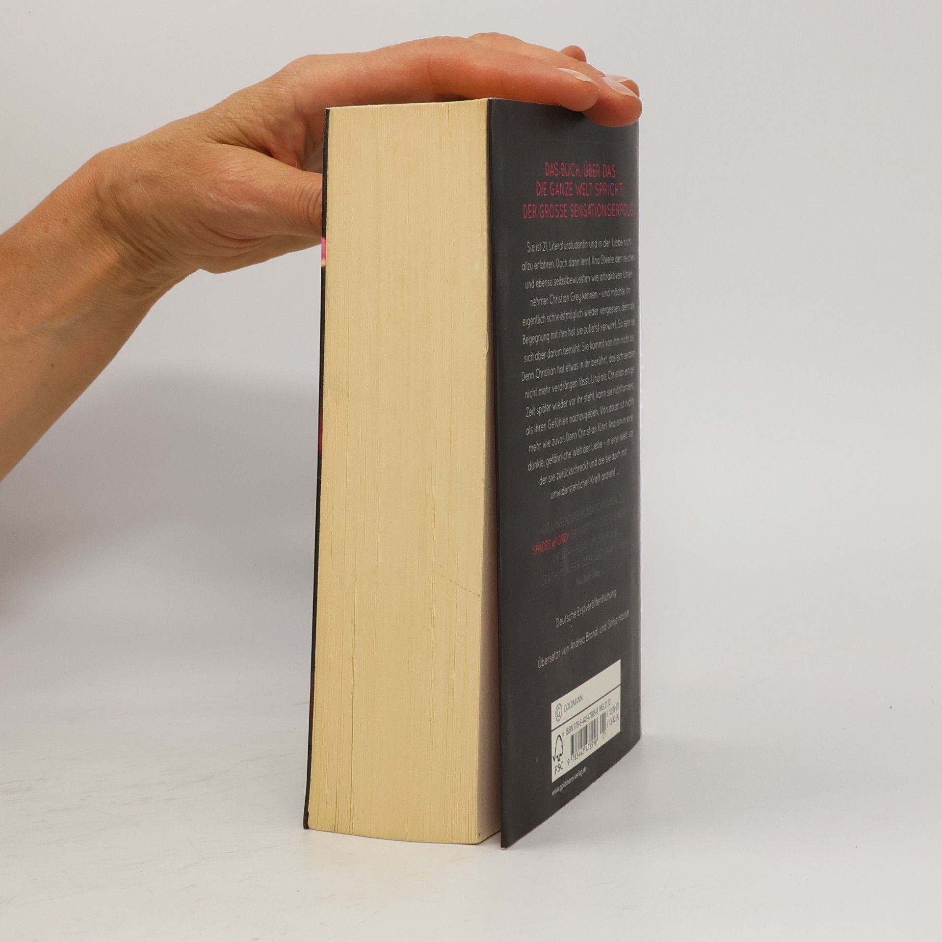 E. L. James Shades of Grey. Geheimes Verlangen