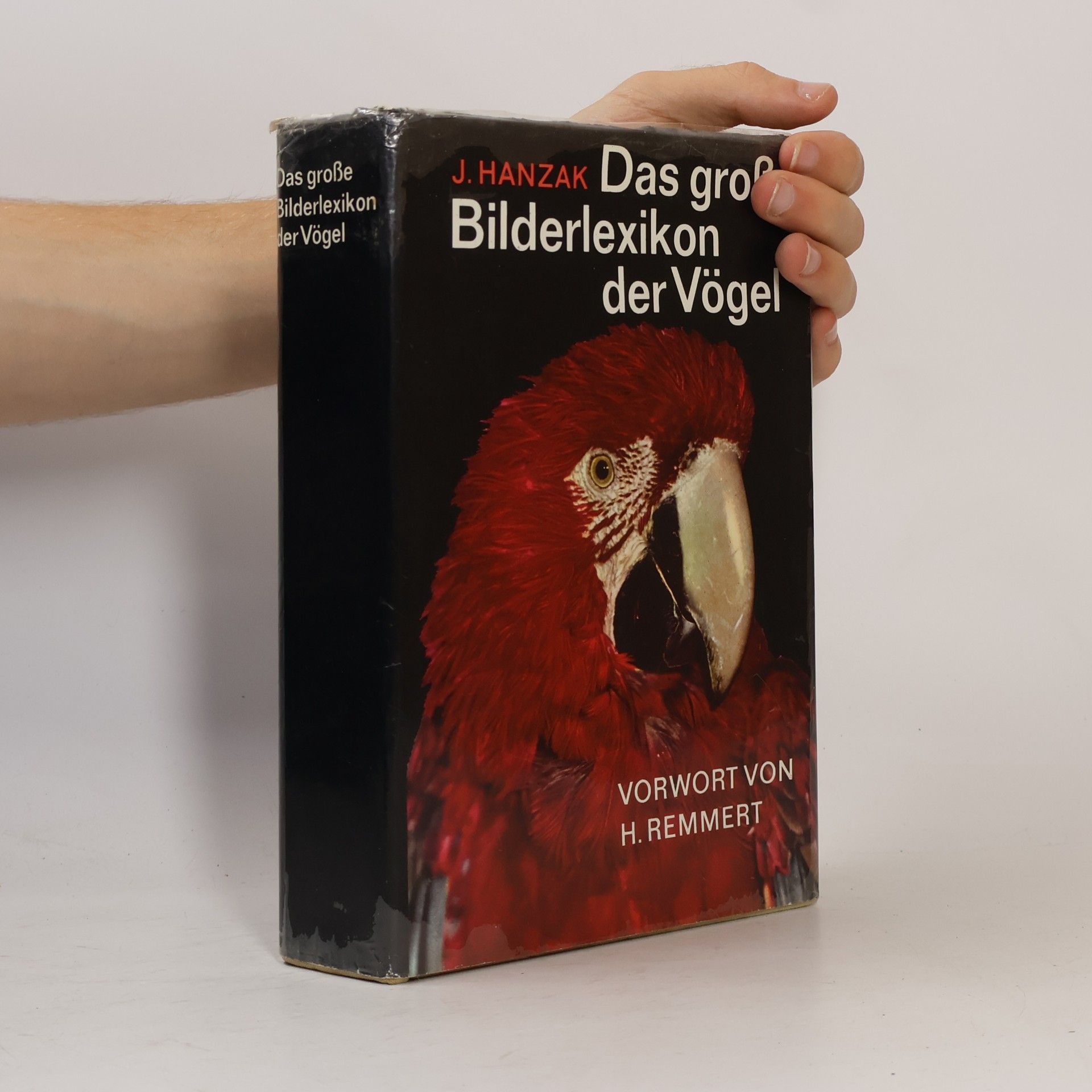 Das große Bilderlexikon der Vögel