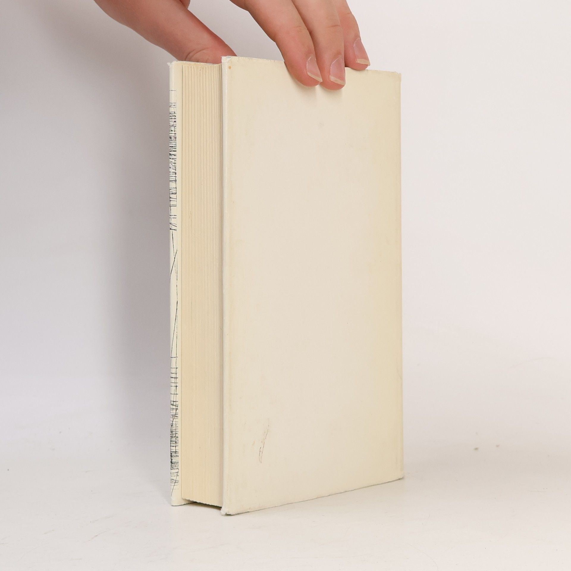 Autorenkollektiv Fülle des Christseins