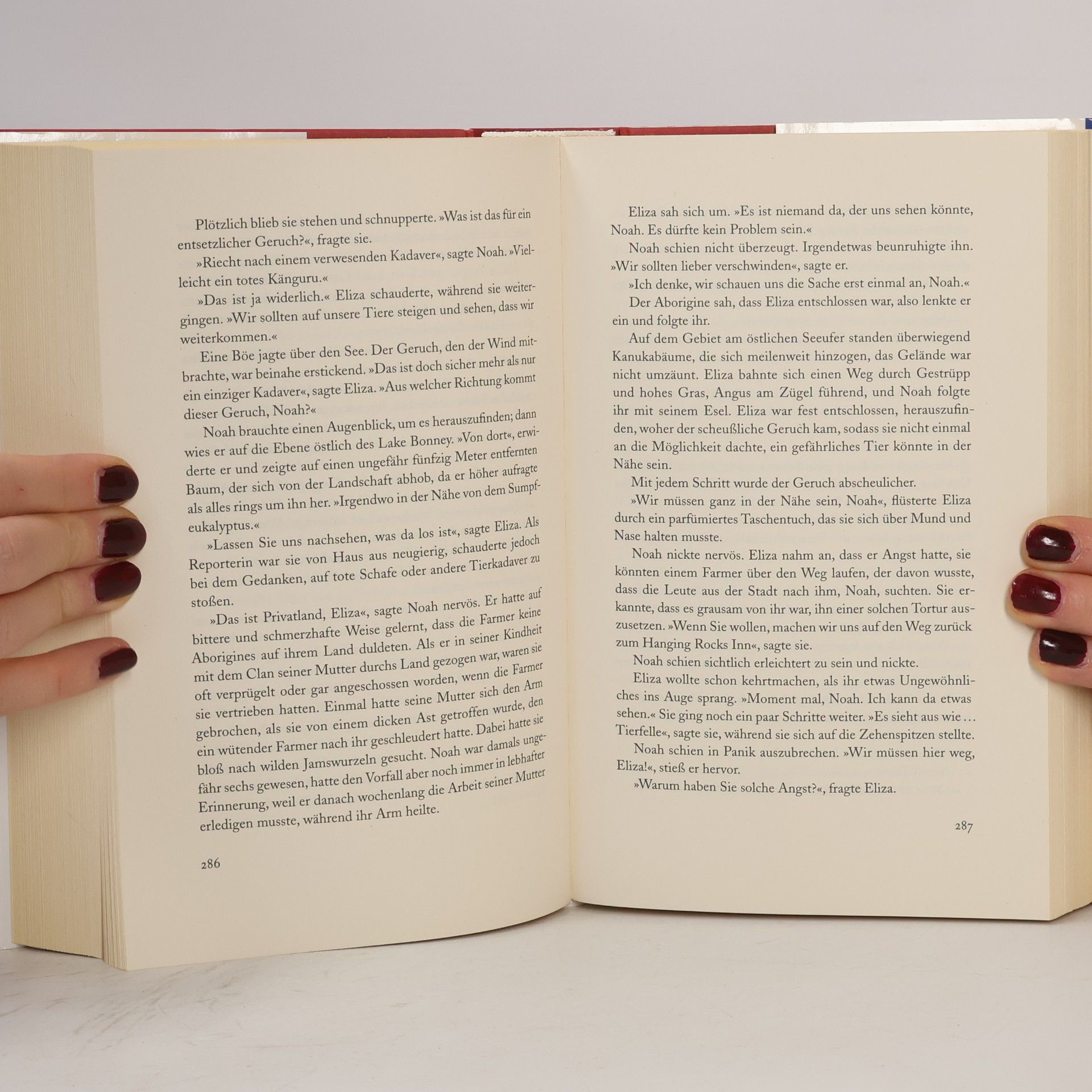 Elizabeth Haran Im Schatten des Teebaums
