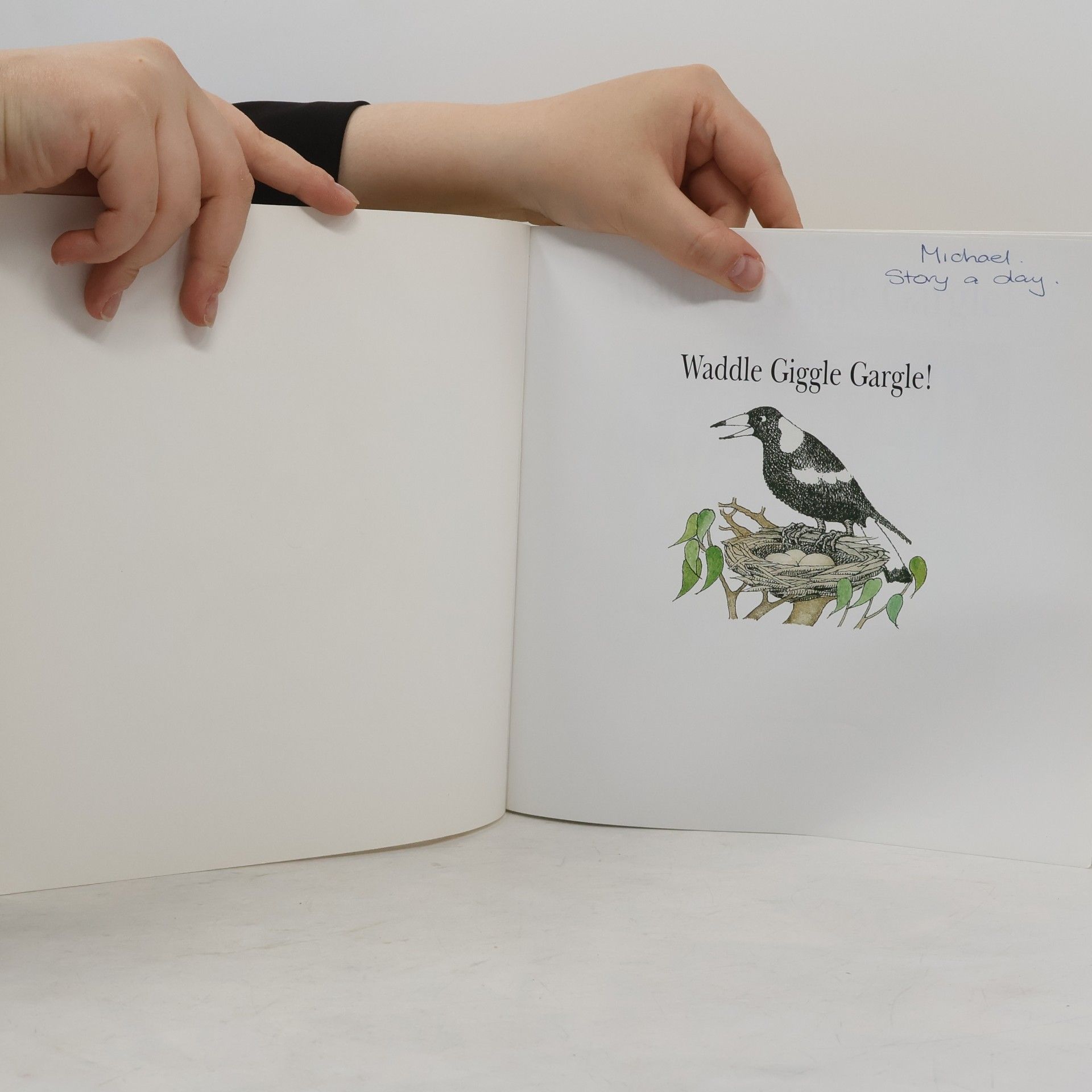 Pamela Allen Puffin Books: Waddle Giggle Gargle