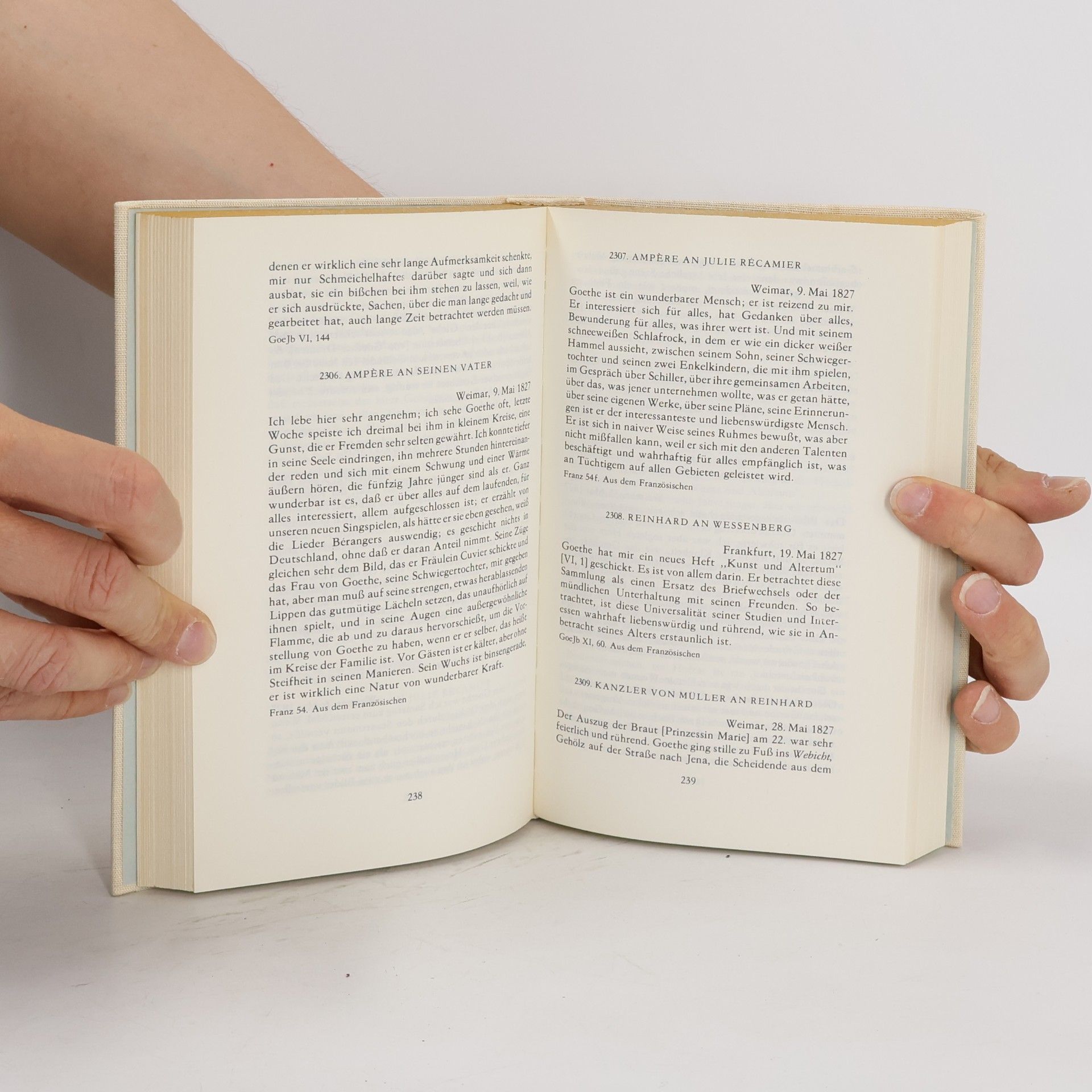 Regine Otto Goethe in vertraulichen Briefen seiner Zeitgenossen