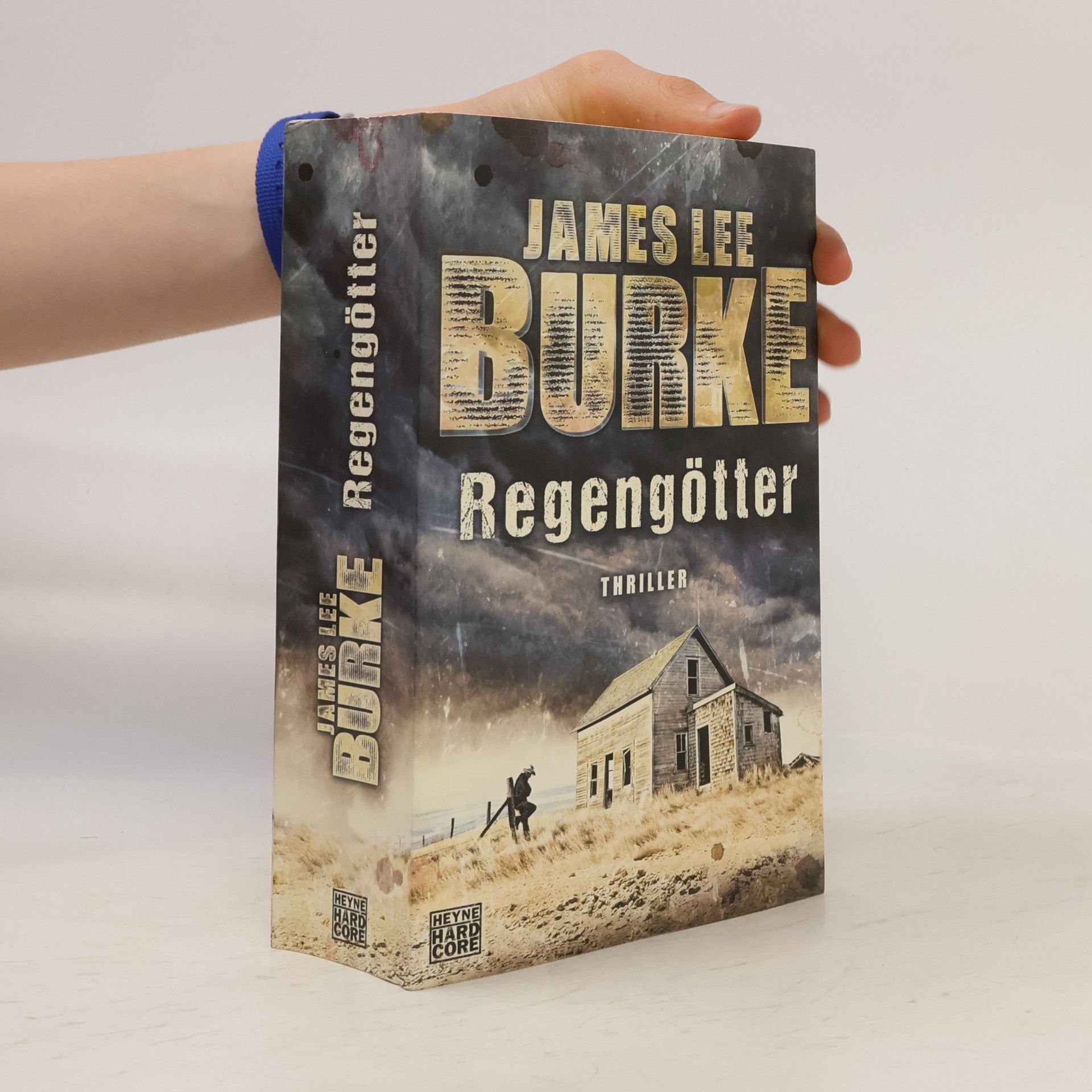 James Lee Burke Regengötter