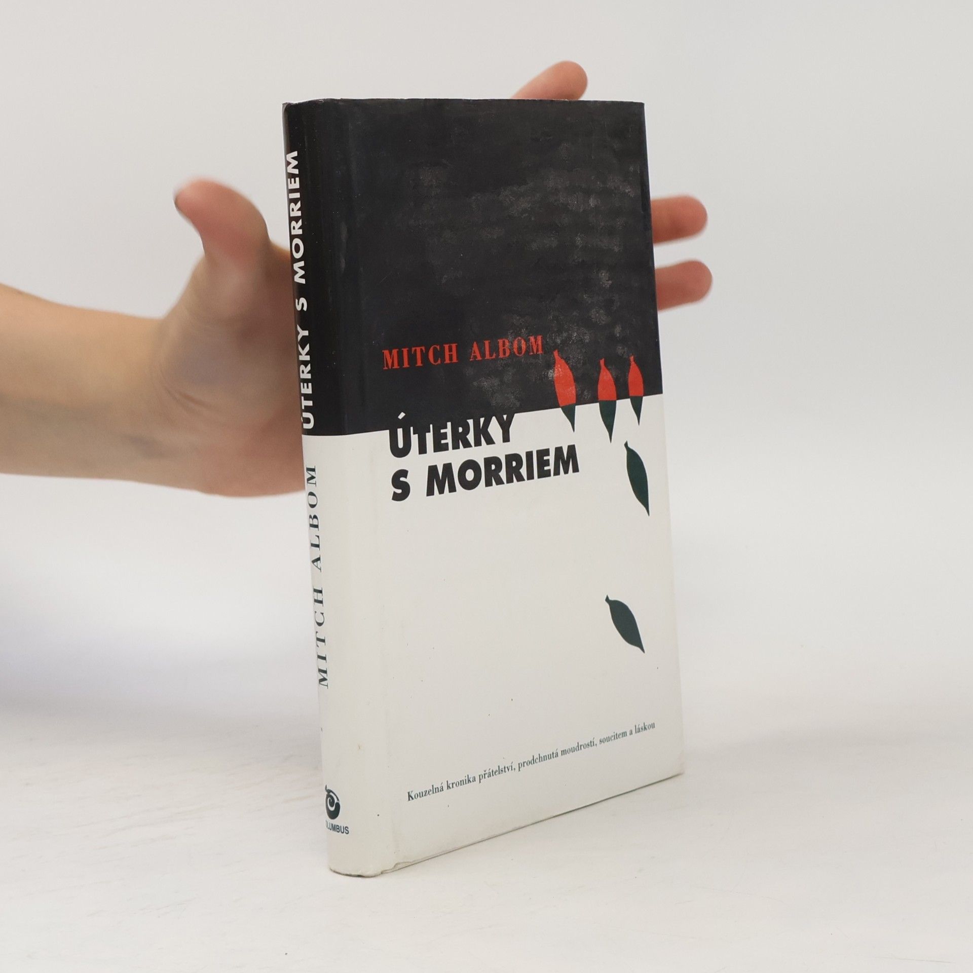 Mitch Albom Úterky s Morriem