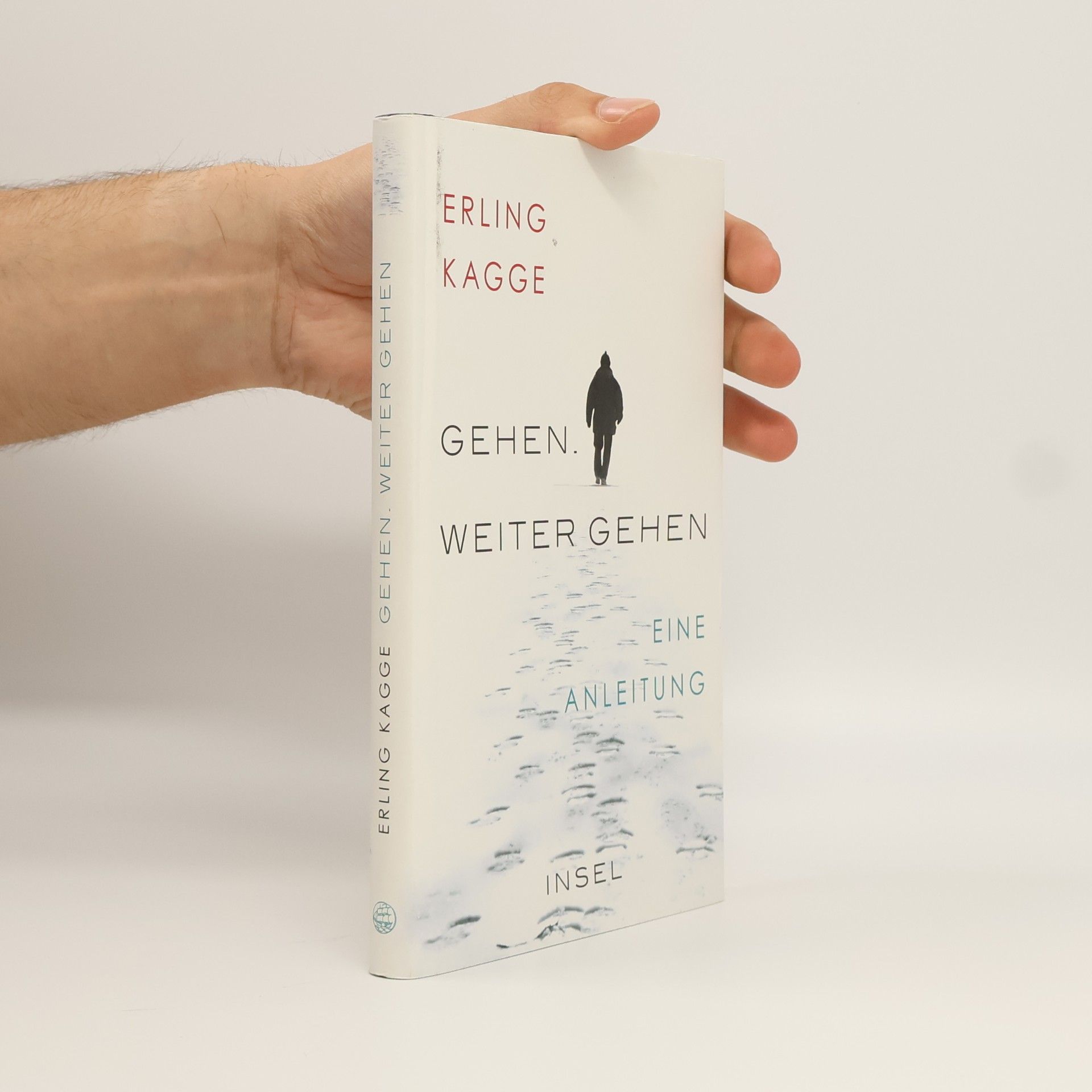 Erling Kagge Gehen - weiter gehen