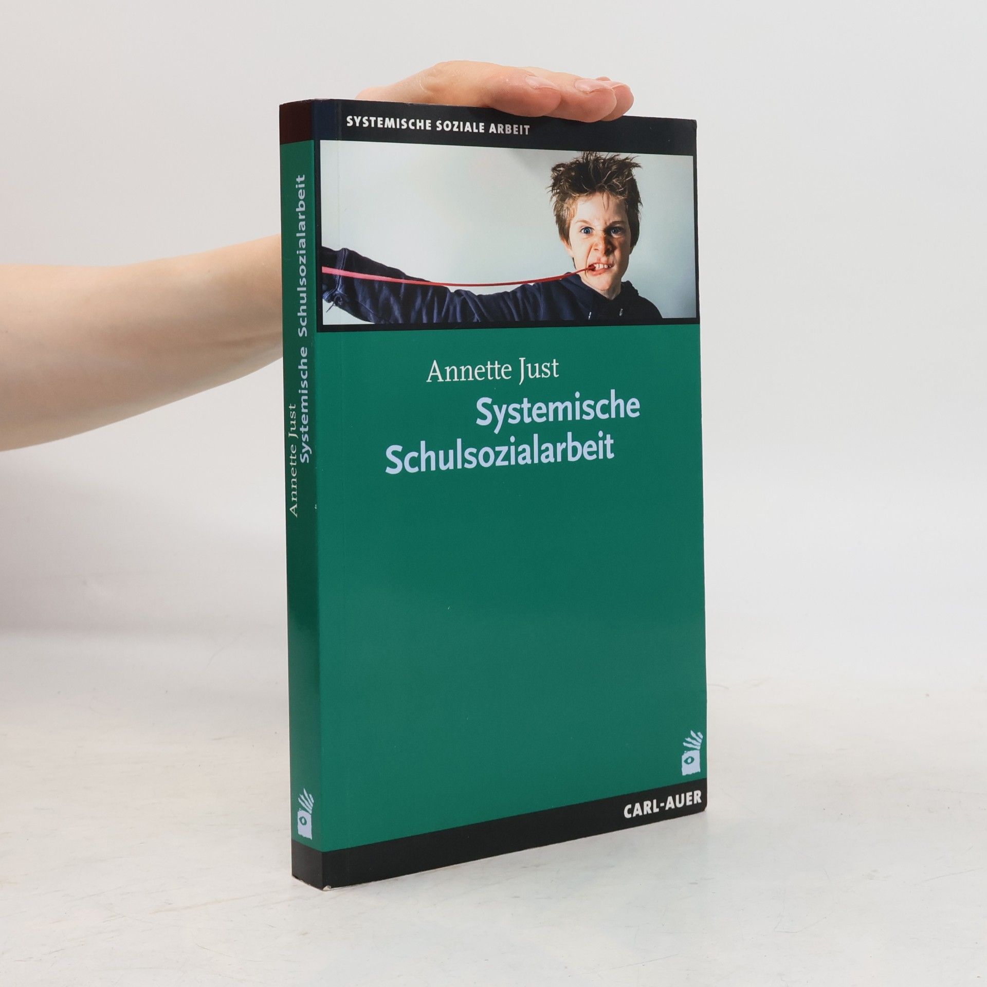 Annette Just Systemische Schulsozialarbeit