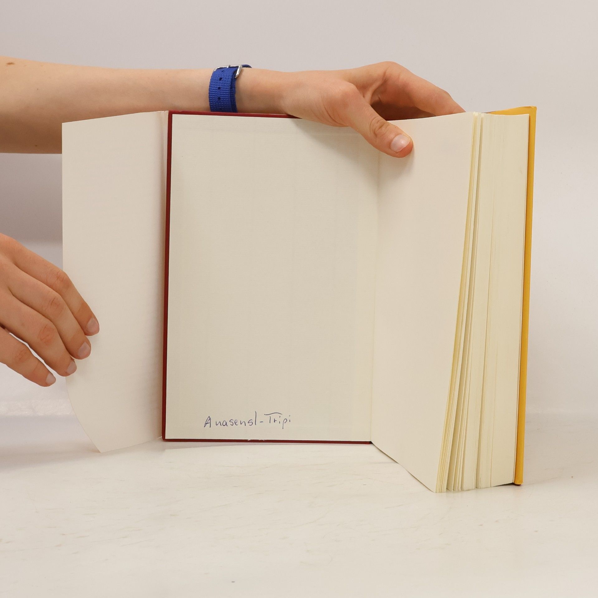 David Servan Schreiber Das Antikrebs-Buch