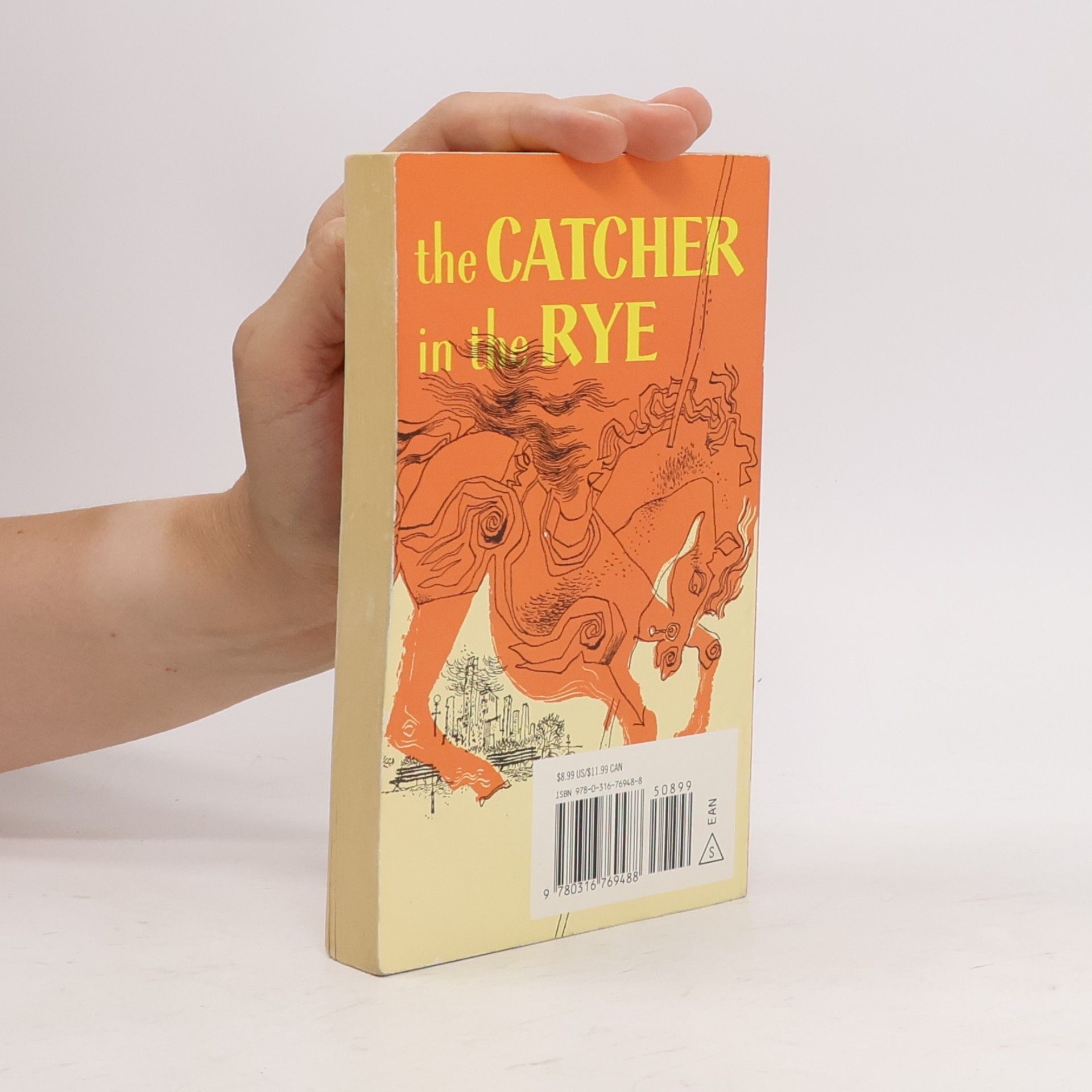 J. D. Salinger The catcher in the rye