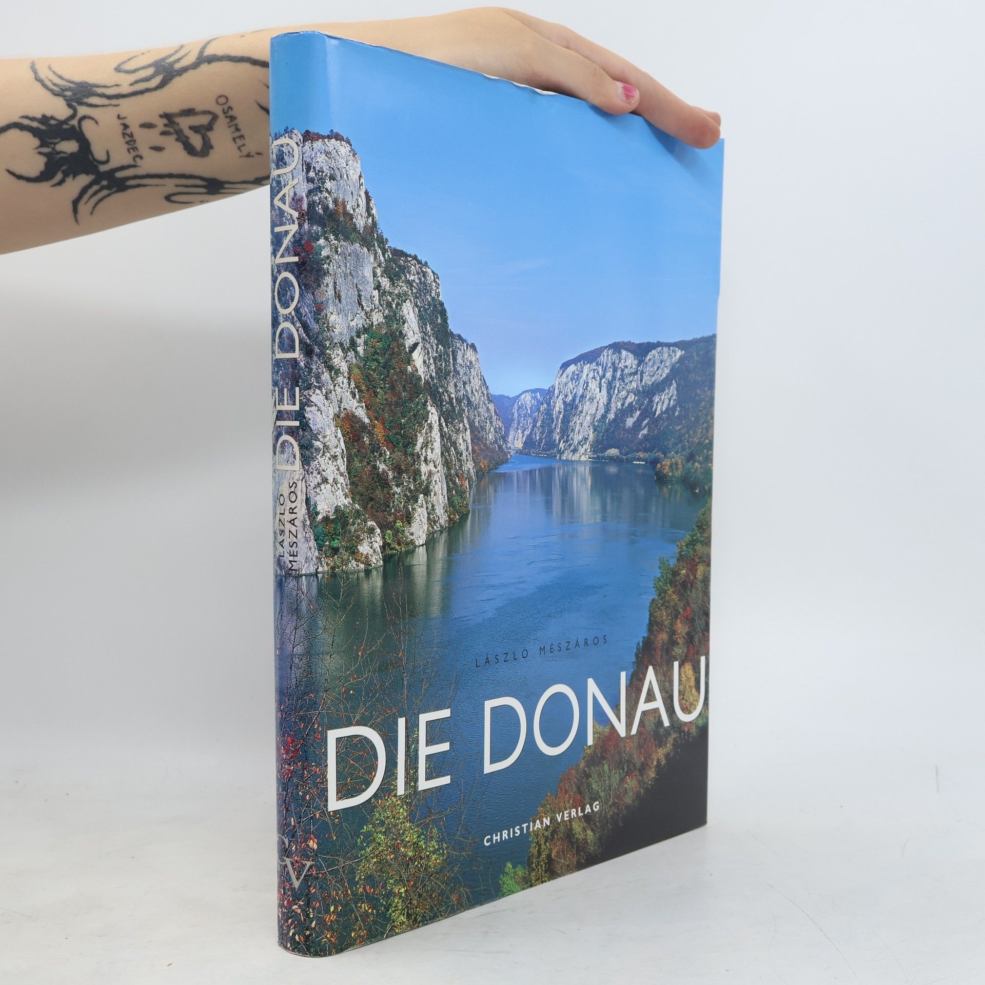 László Mészáros Die Donau