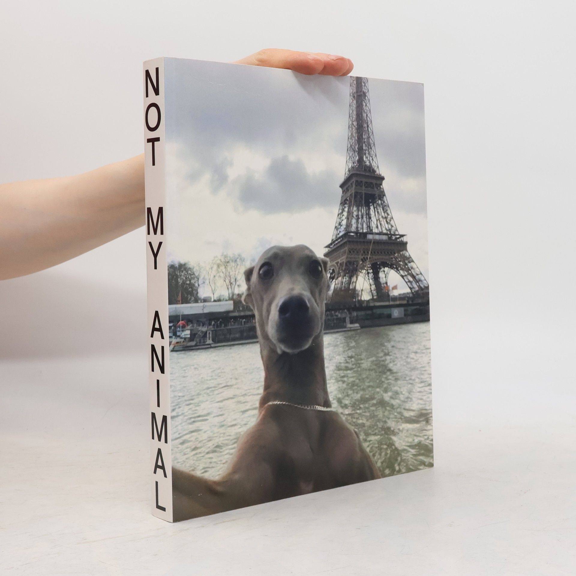 Thomas Hervé Not My Animal
