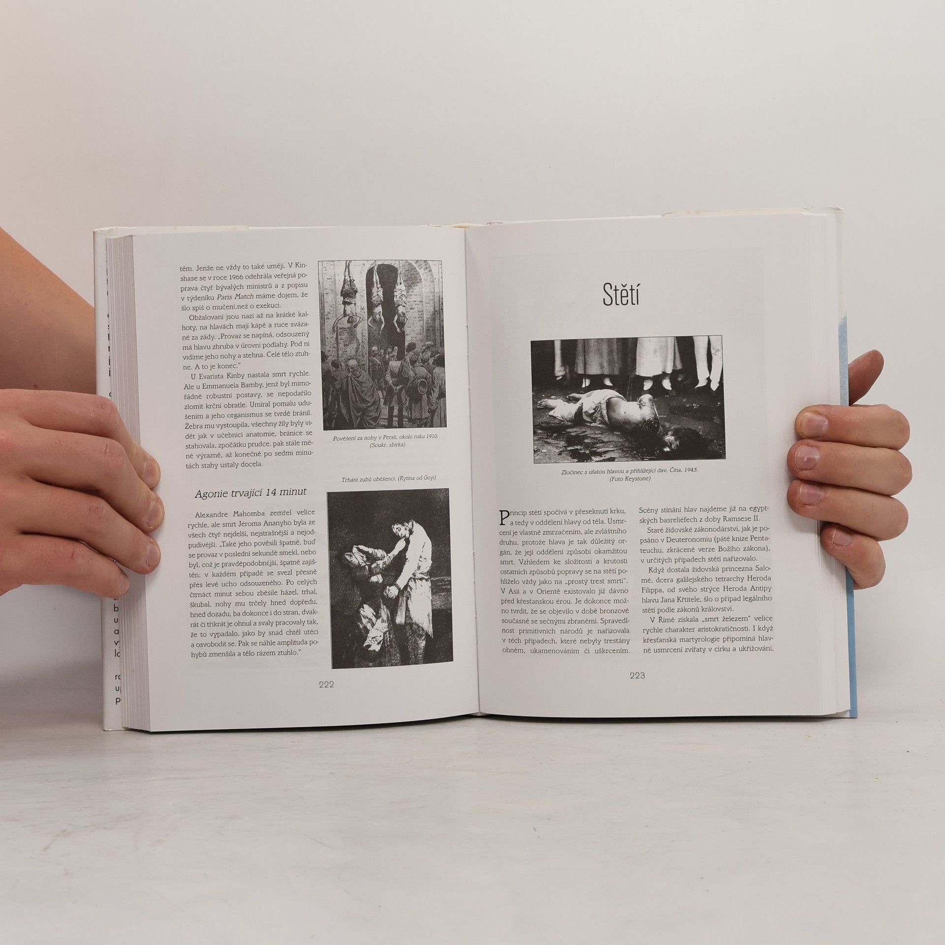 Martin Monestier Historie trestu smrti