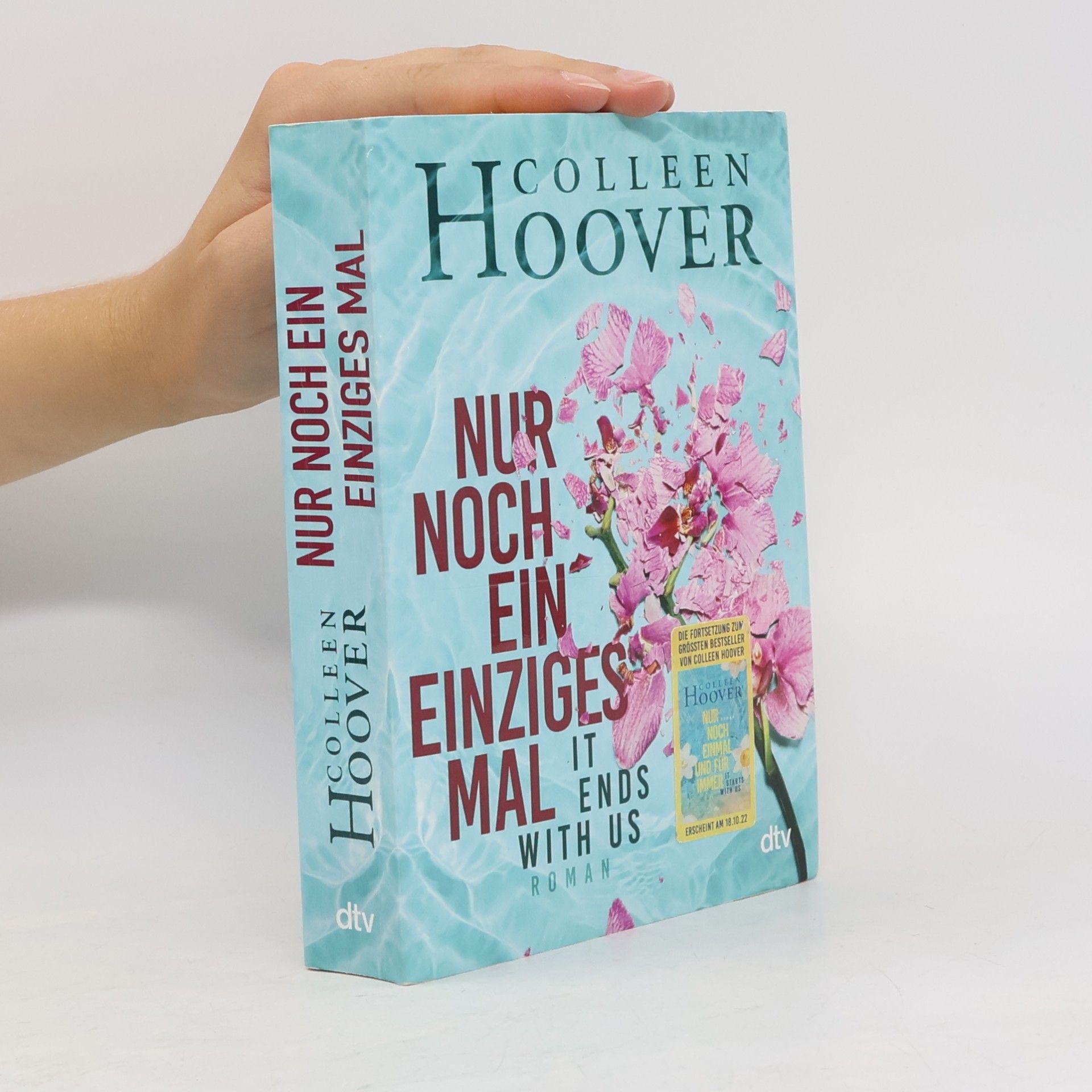 Colleen Hoover Nur noch ein einziges Mal