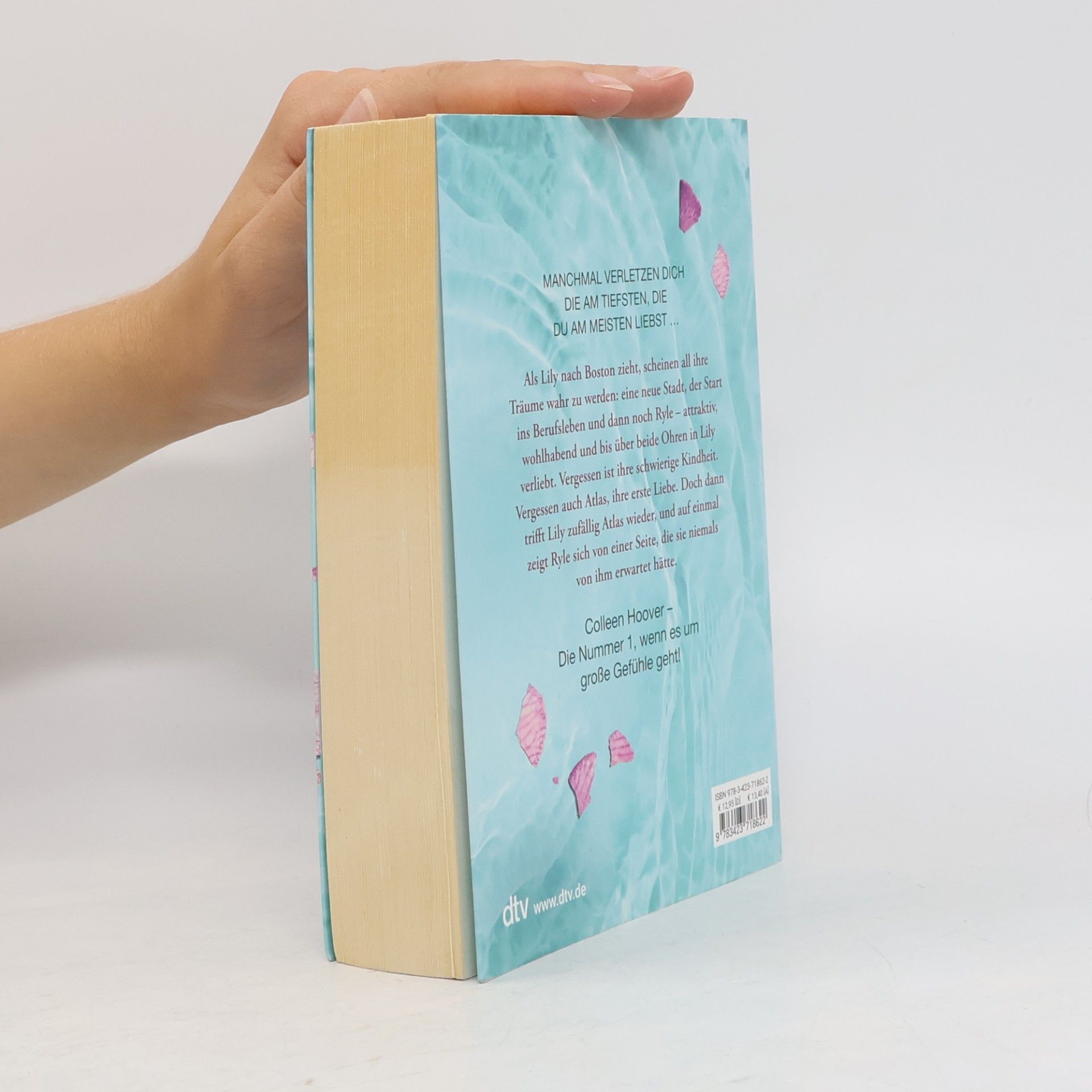 Colleen Hoover Nur noch ein einziges Mal