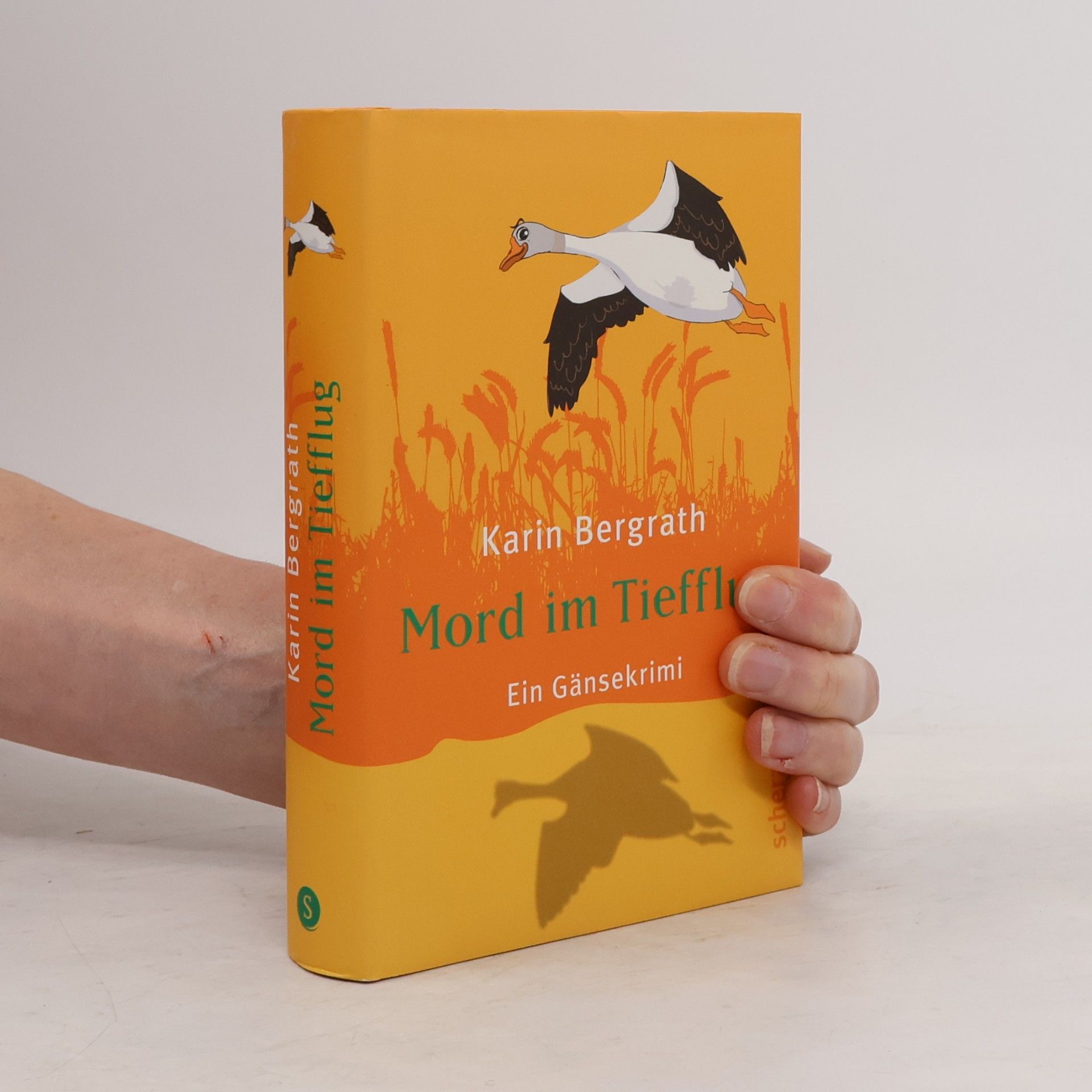 Karin Bergrath Mord im Tiefflug