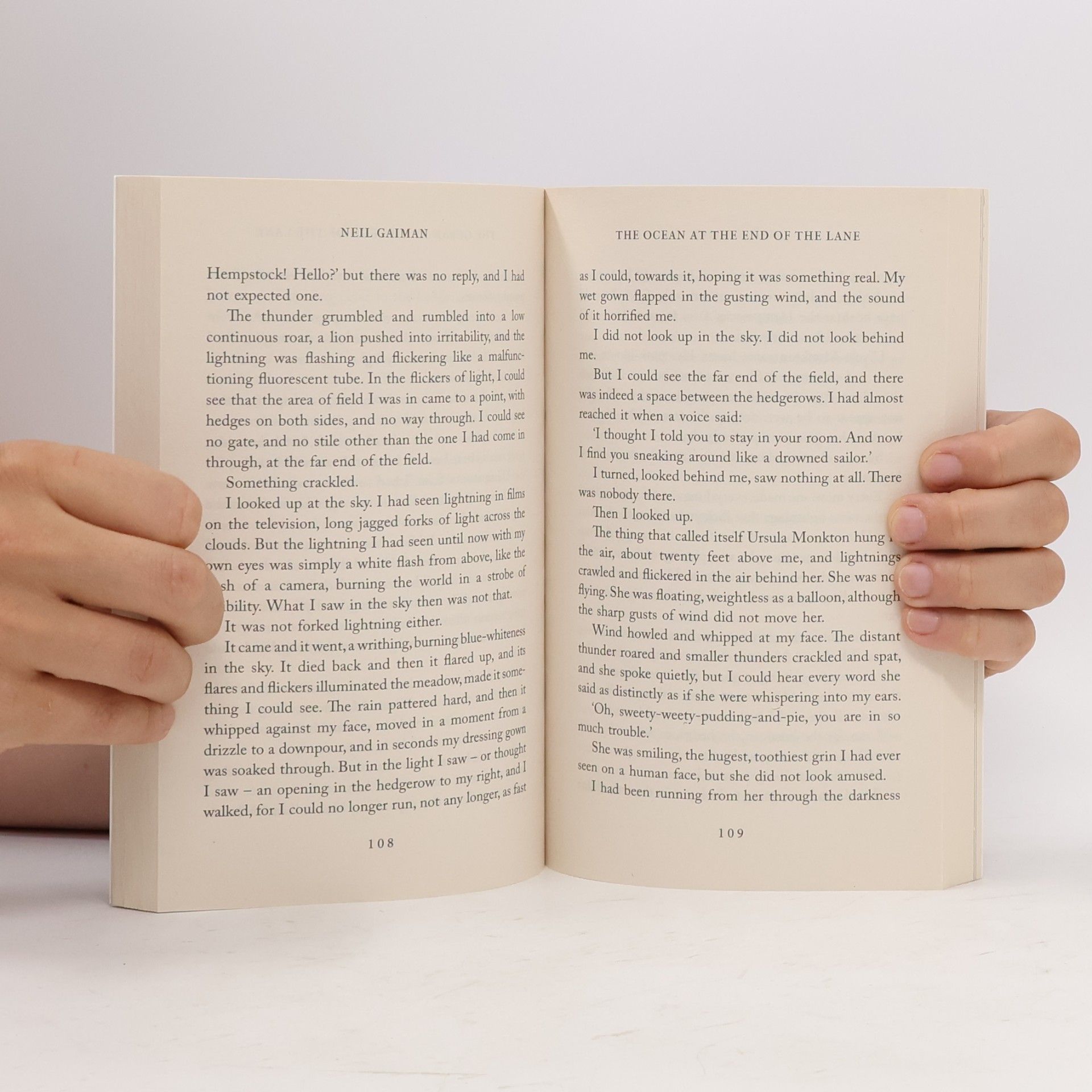 Neil Gaiman The Ocean at the End of the Lane