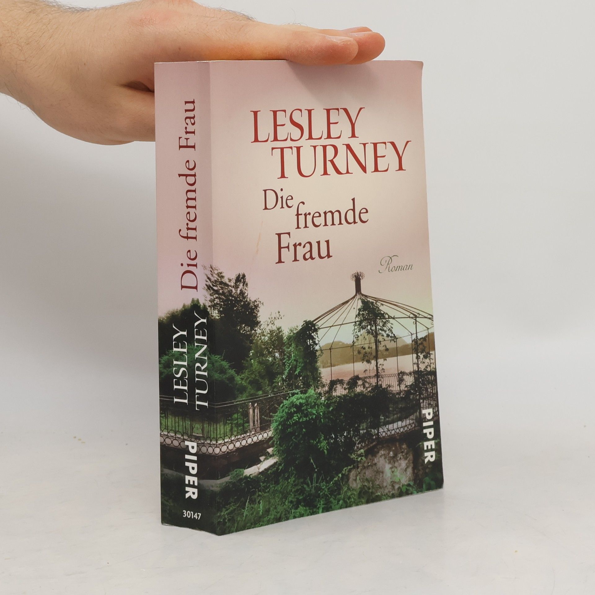 Lesley Turney Die fremde Frau