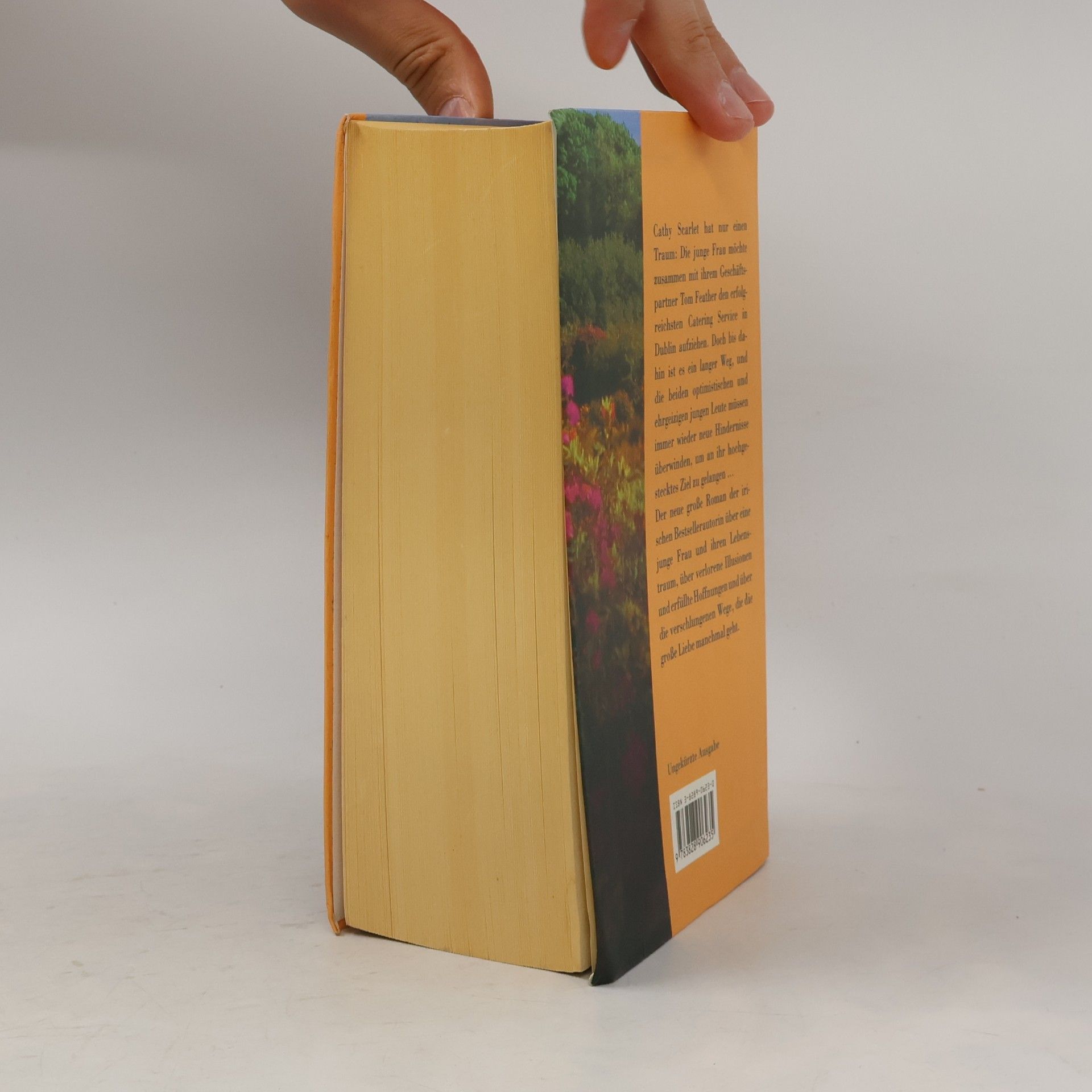 Maeve Binchy Cathys Traum