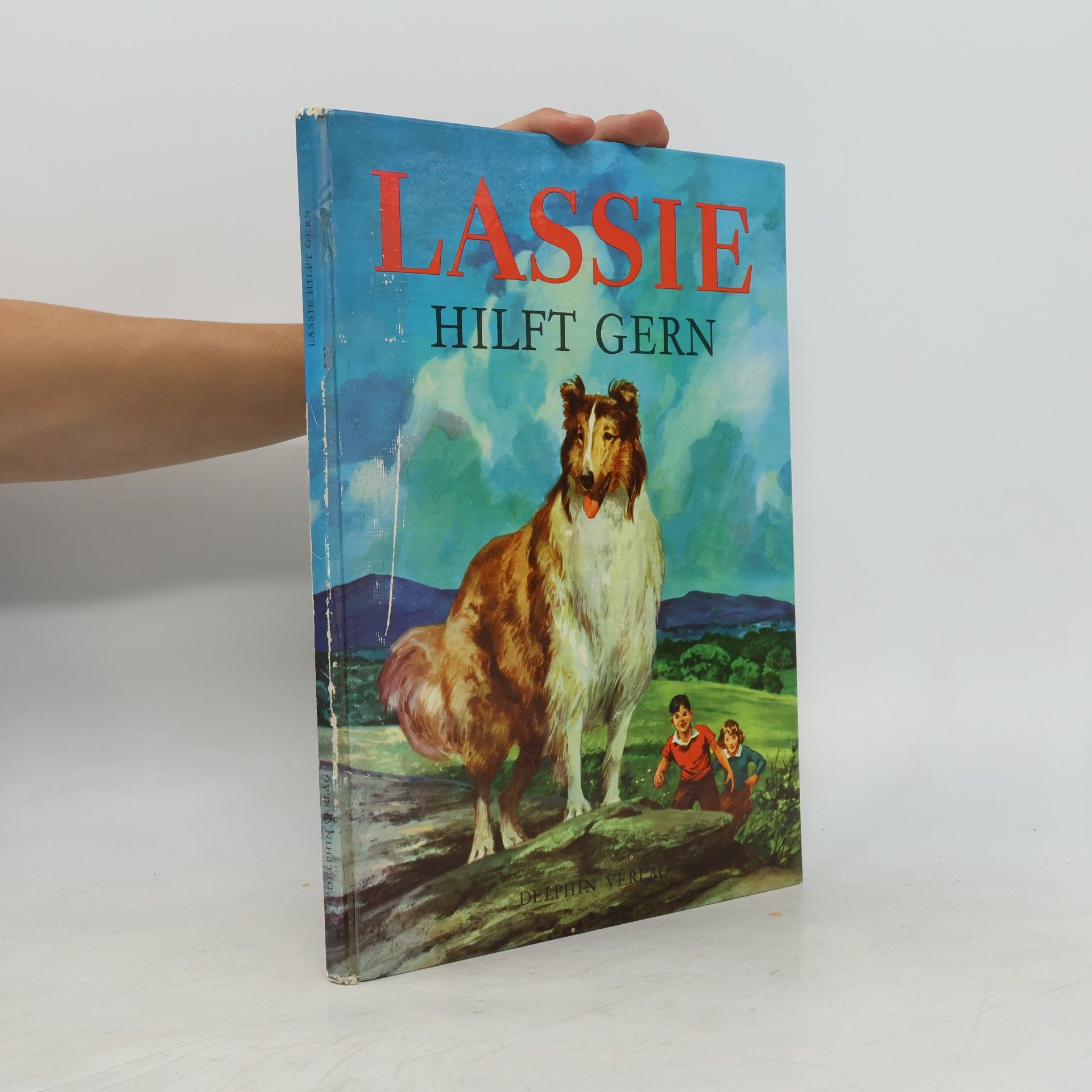 Autorenkollektiv Lassie hilft gern