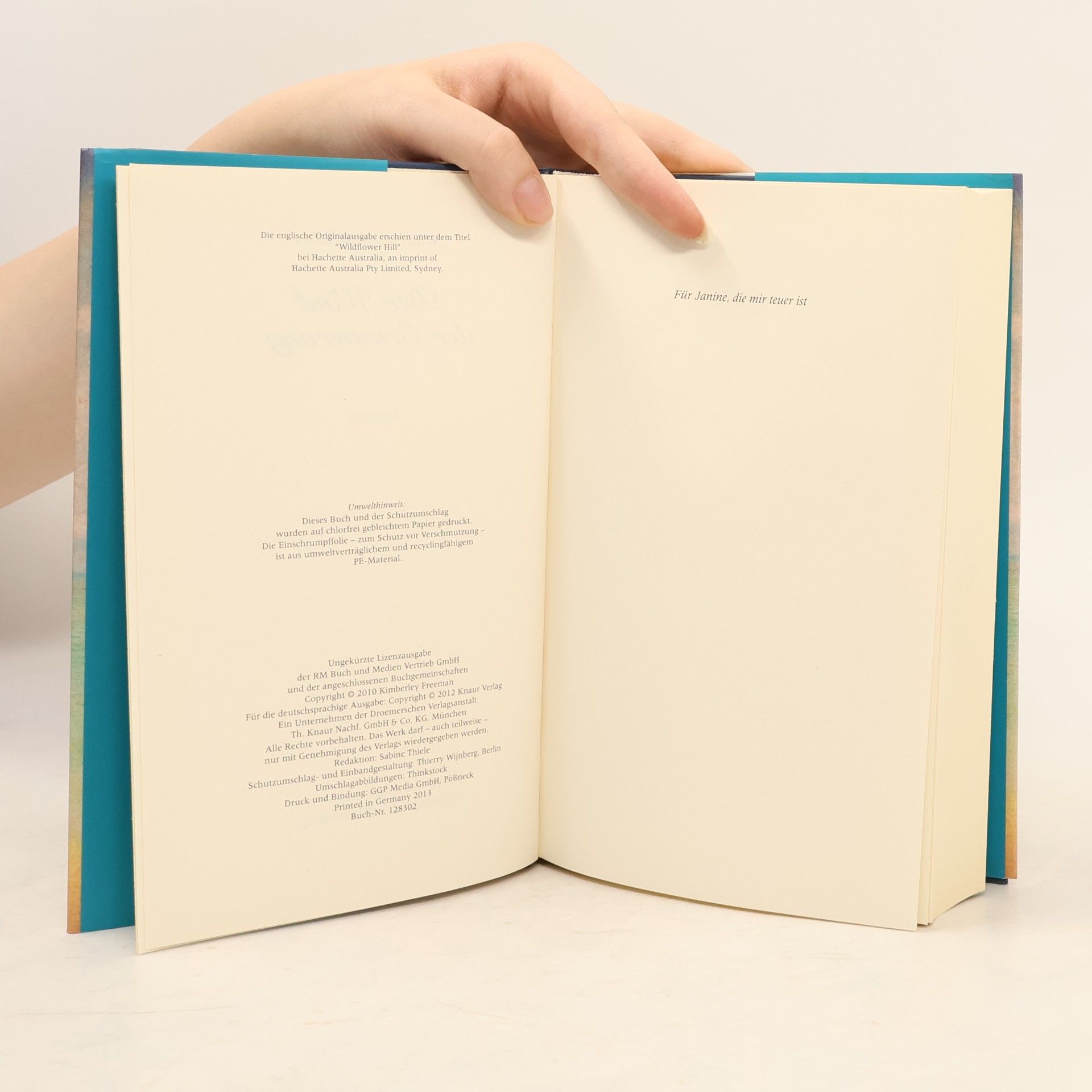 Kimberley Wilkins Der Wind der Erinnerung
