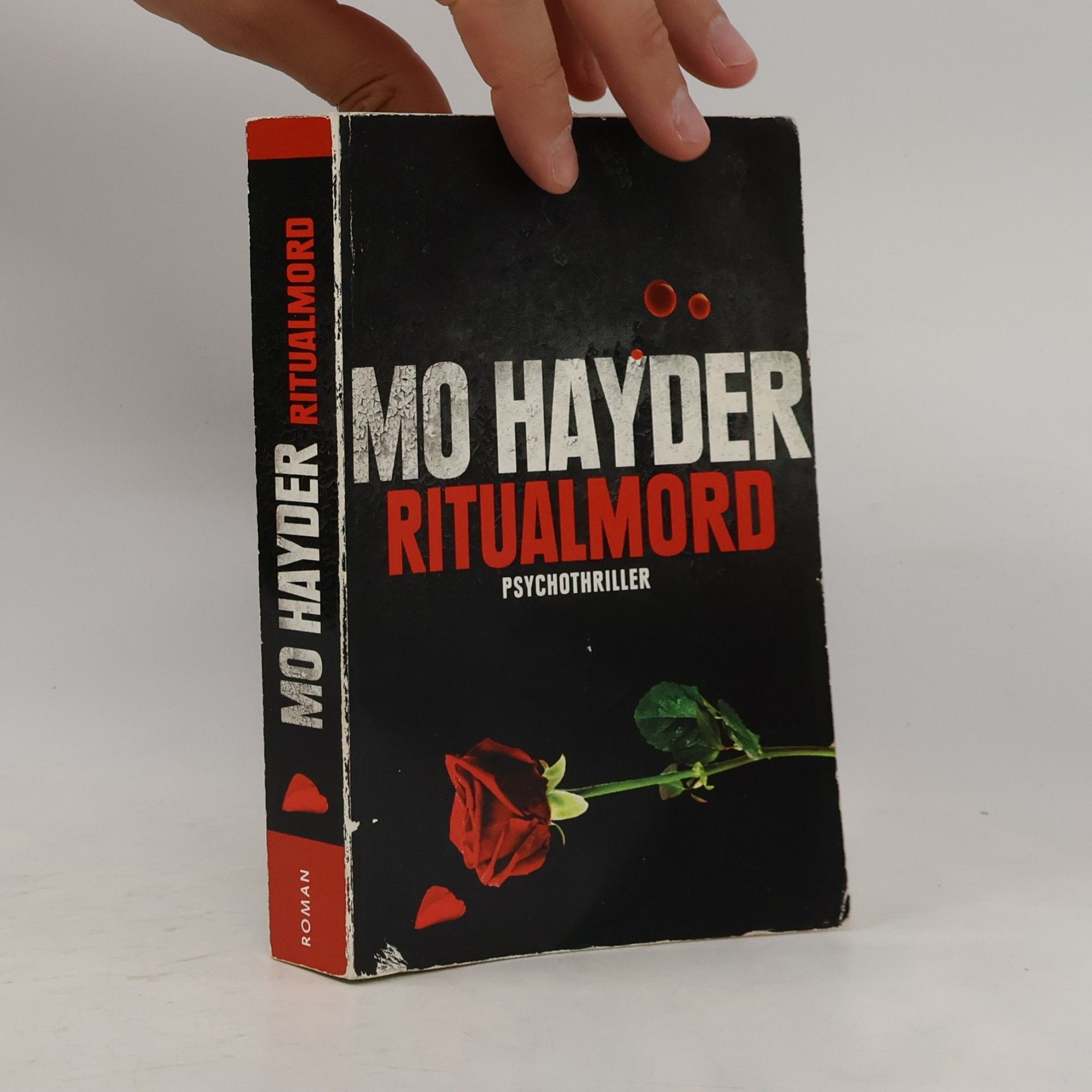 Mo Hayder Ritualmord