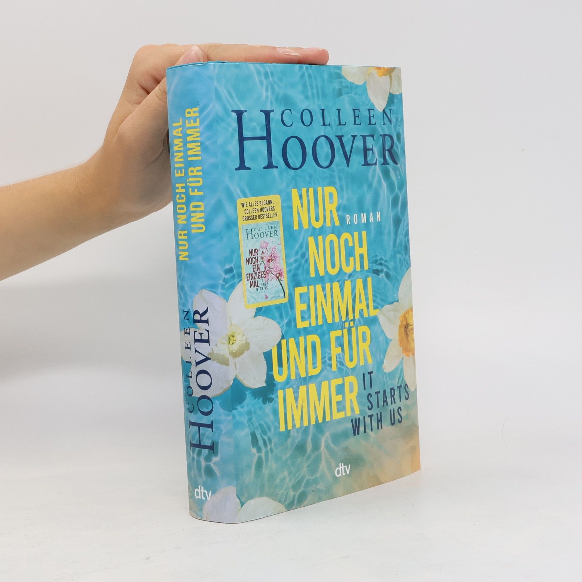 Colleen Hoover Nur noch einmal und für immer